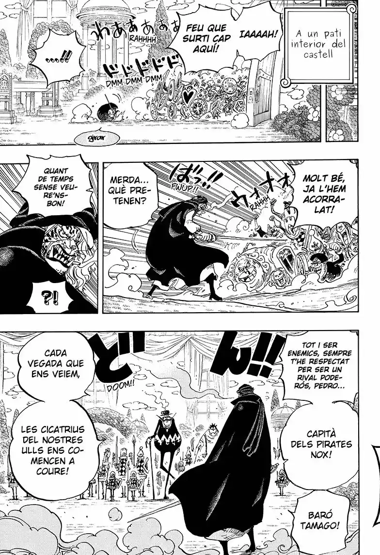 One Piece (Català) - Capítulo 849 - Página 15 - LectorTMOo