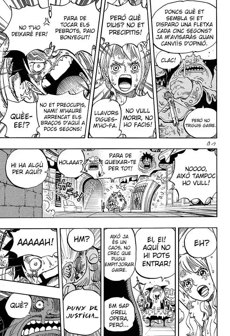 One Piece (Català) - Capítulo 851 - Página 13 - LectorTMOo