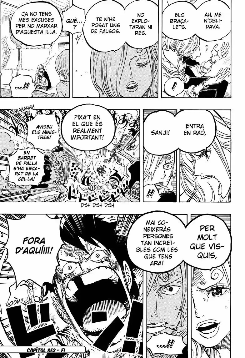One Piece (Català) - Capítulo 852 - Página 17 - LectorTMOo