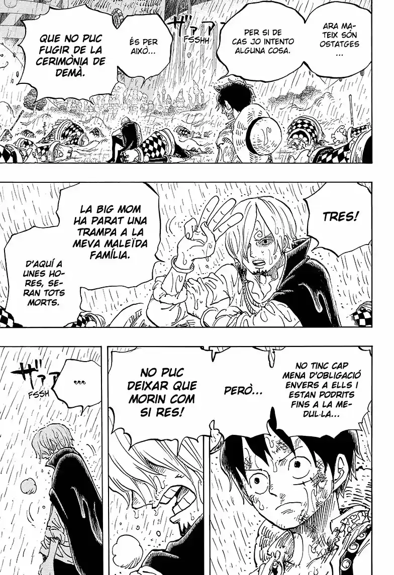 One Piece (Català) - Capítulo 856 - Página 13 - LectorTMOo