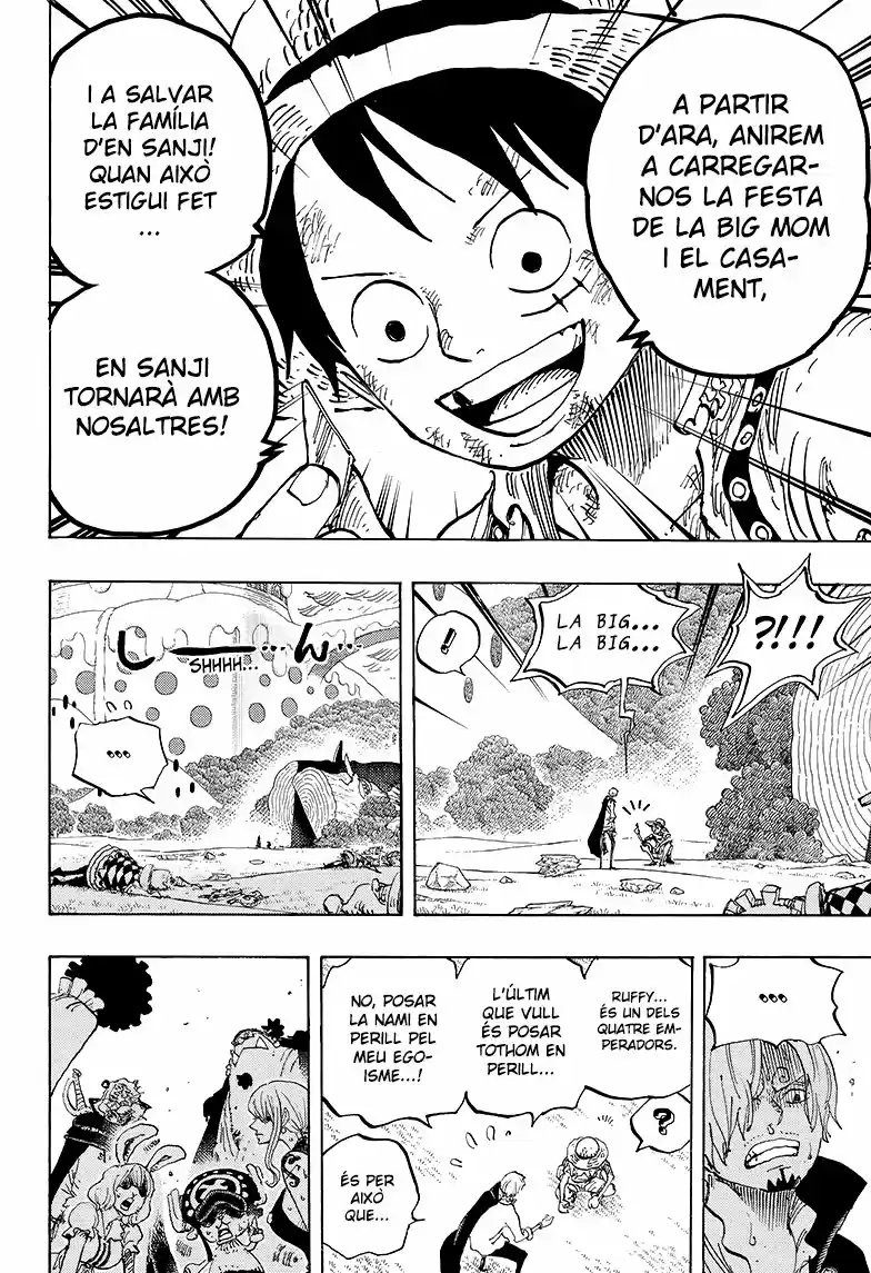 One Piece (Català) - Capítulo 857 - Página 6 - LectorTMOo