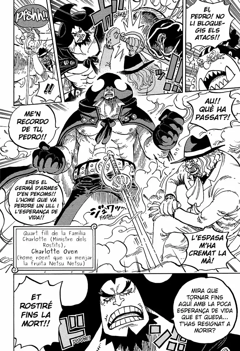One Piece (Català) - Capítulo 864 - Página 10 - LectorTMOo