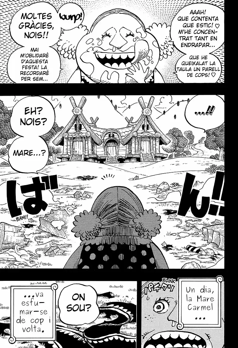 One Piece (Català) - Capítulo 867 - Página 13 - LectorTMOo
