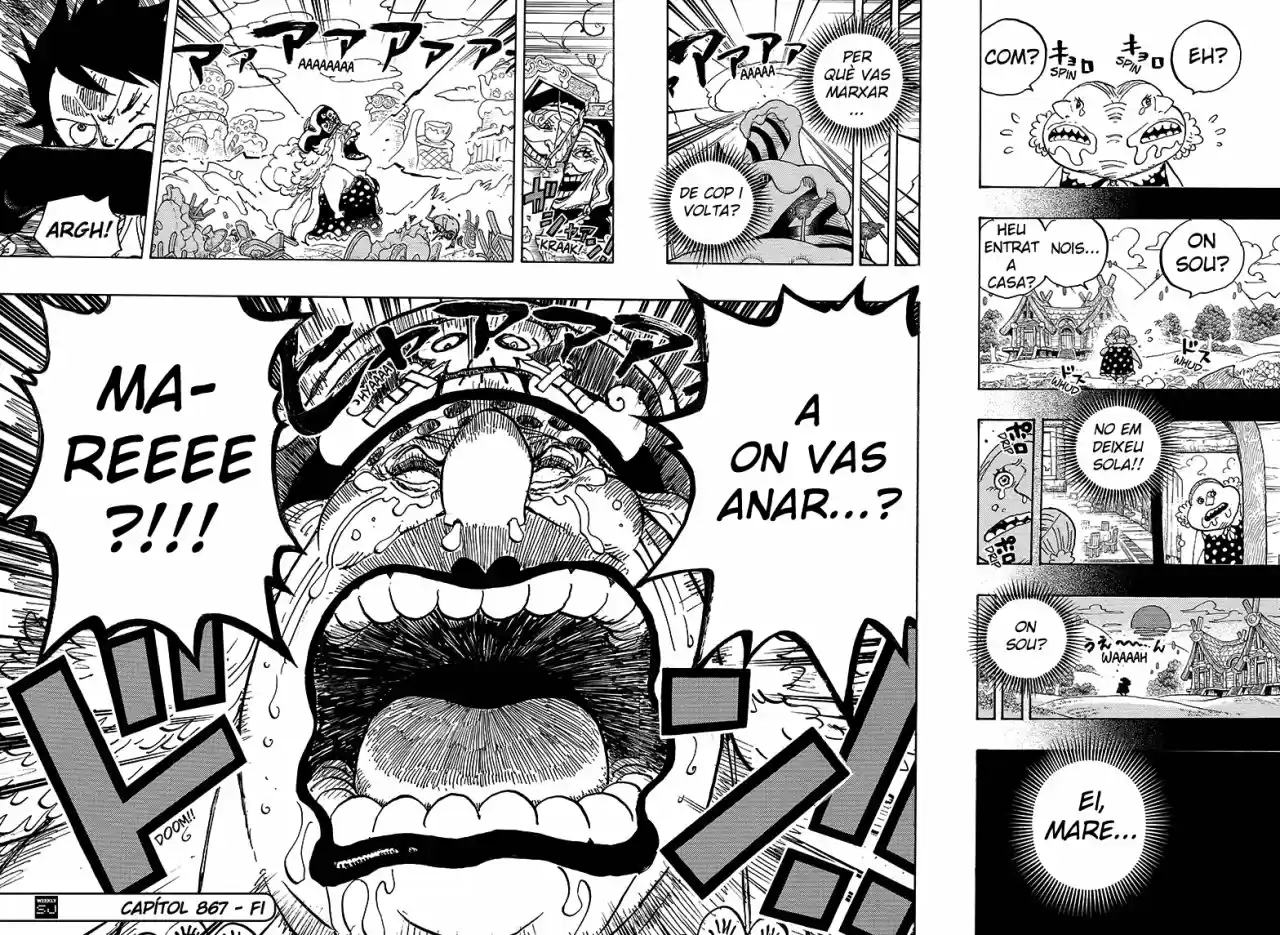 One Piece (Català) - Capítulo 867 - Página 14 - LectorTMOo