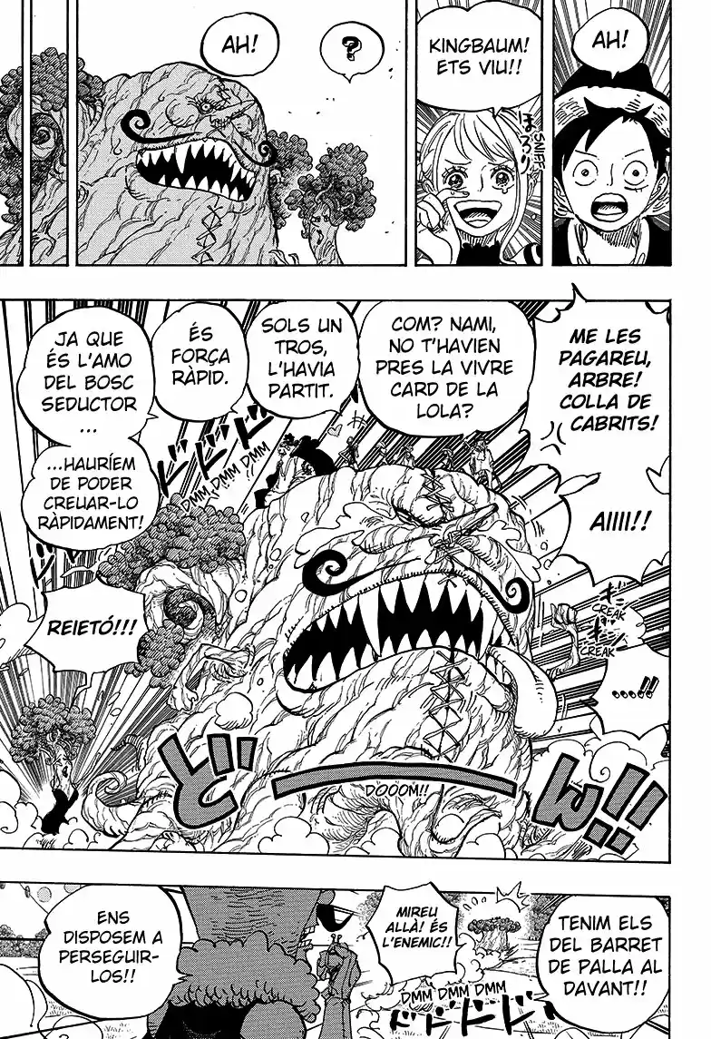 One Piece (Català) - Capítulo 873 - Página 14 - LectorTMOo