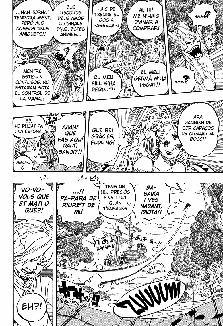 One Piece (Català) - Capítulo 876 - Página 13 - LectorTMOo