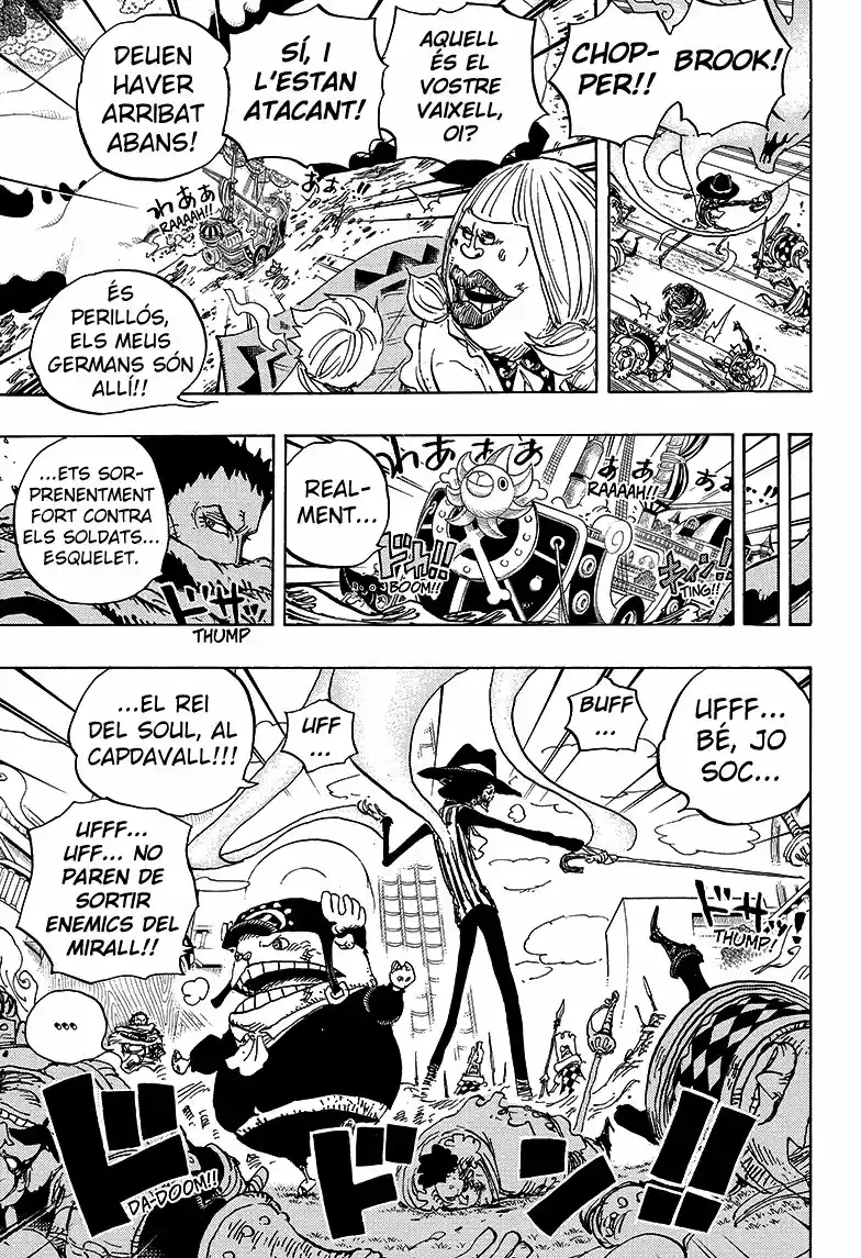 One Piece (Català) - Capítulo 876 - Página 14 - LectorTMOo