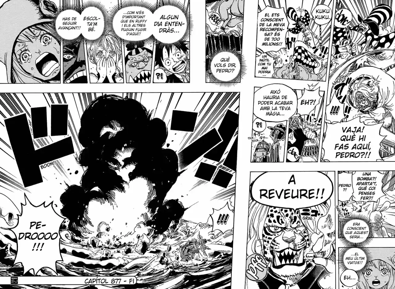 One Piece (Català) - Capítulo 877 - Página 15 - LectorTMOo