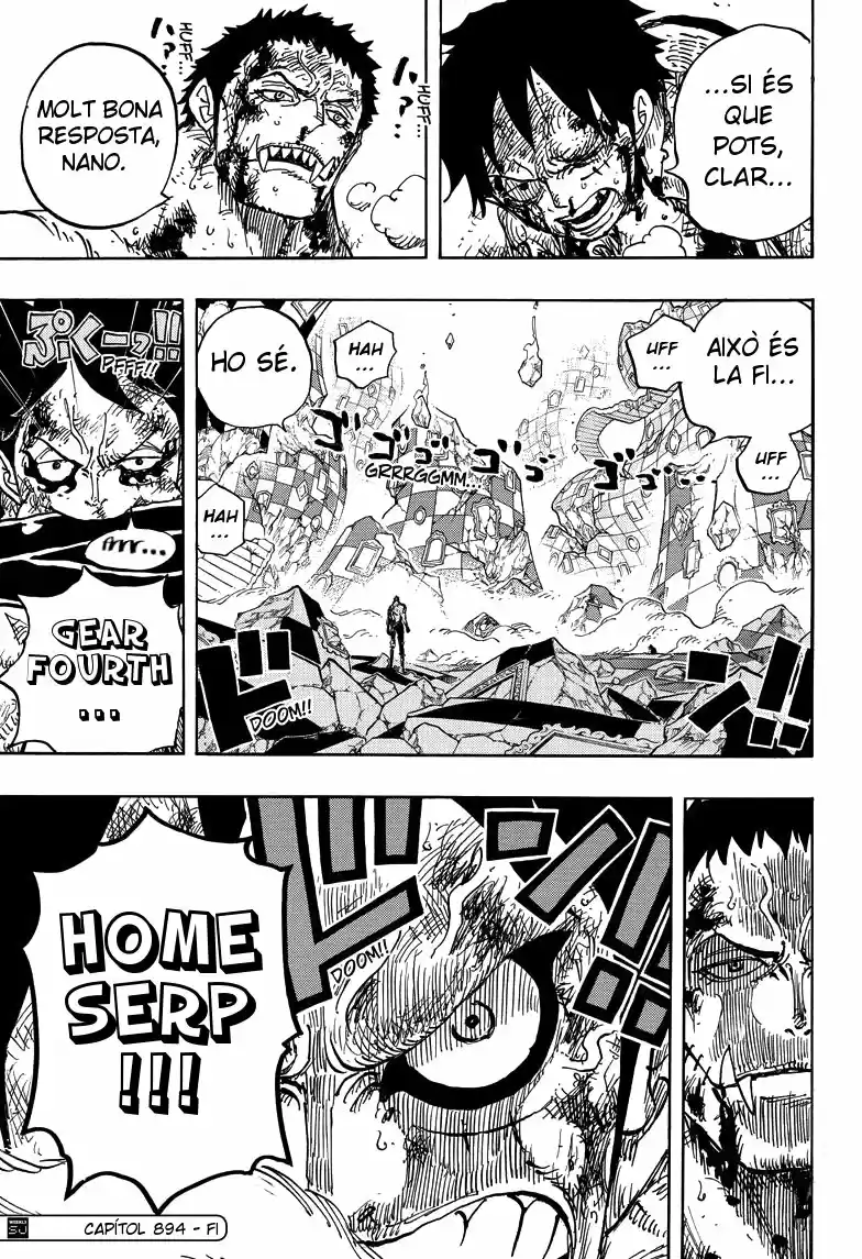 One Piece (Català) - Capítulo 894 - Página 16 - LectorTMOo