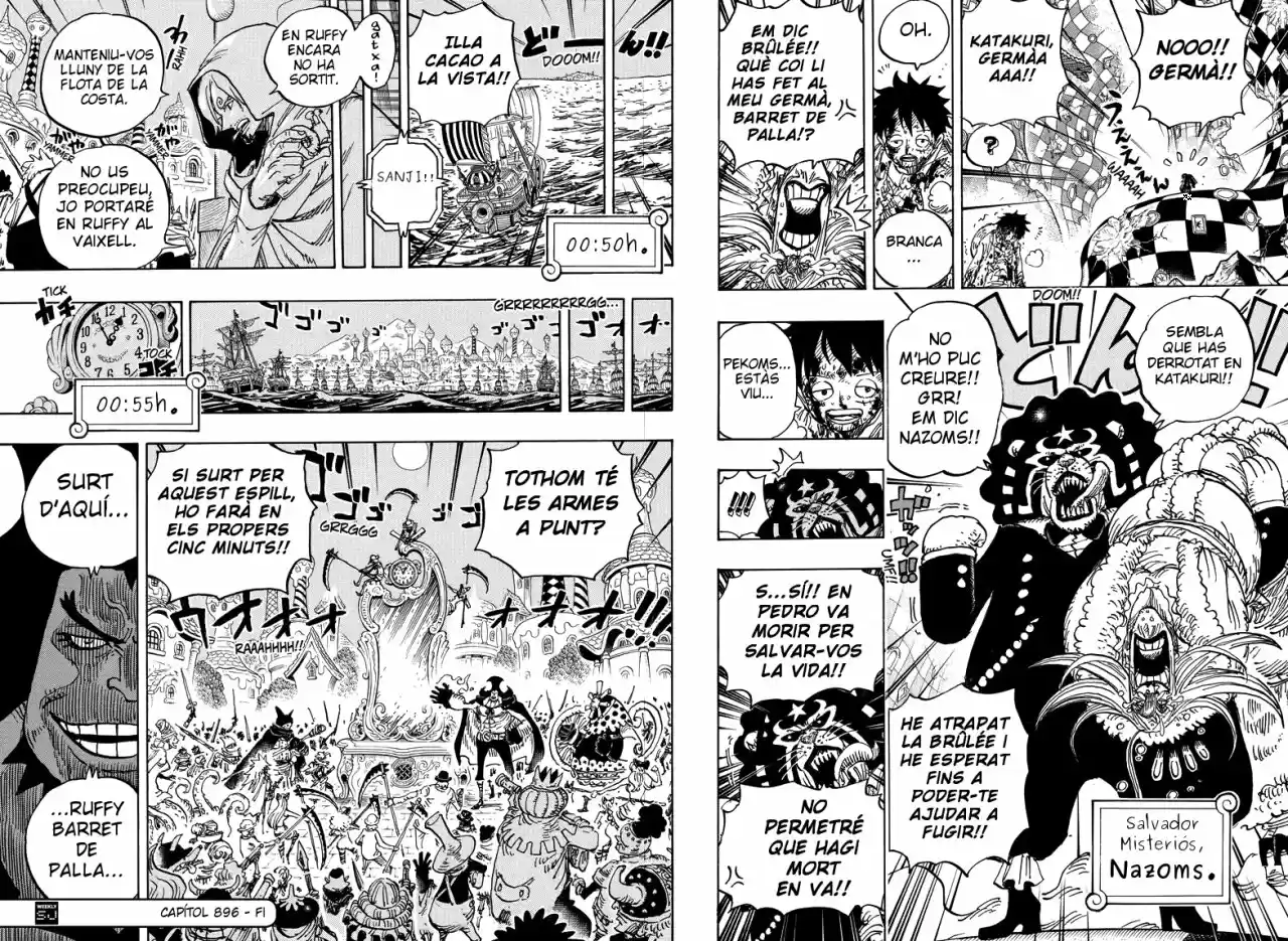 One Piece (Català) - Capítulo 896 - Página 15 - LectorTMOo