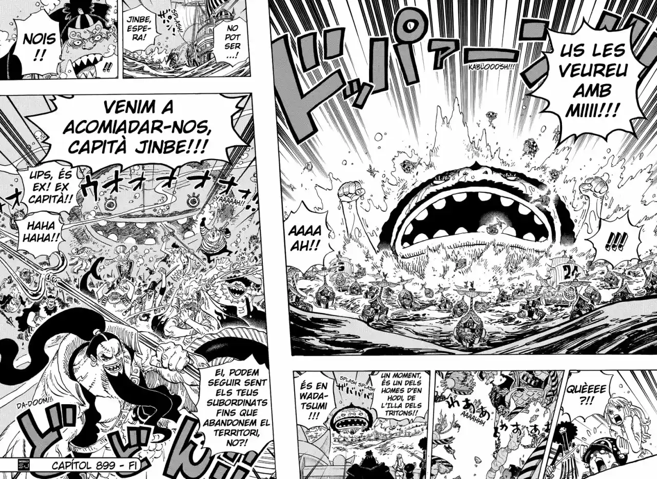 One Piece (Català) - Capítulo 899 - Página 16 - LectorTMOo
