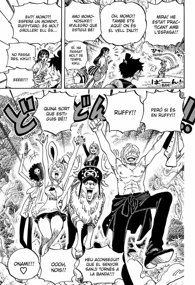 One Piece (Català) - Capítulo 919 - Página 13 - LectorTMOo
