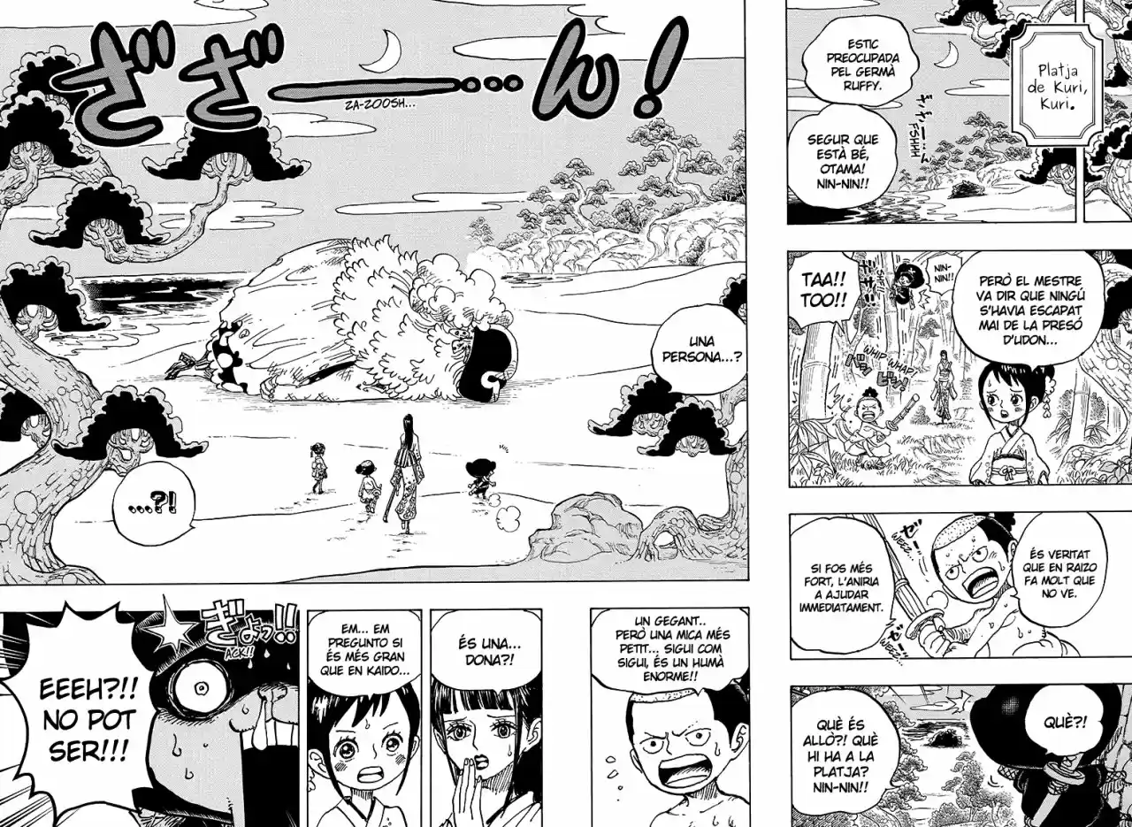 One Piece (Català) - Capítulo 931 - Página 13 - LectorTMOo