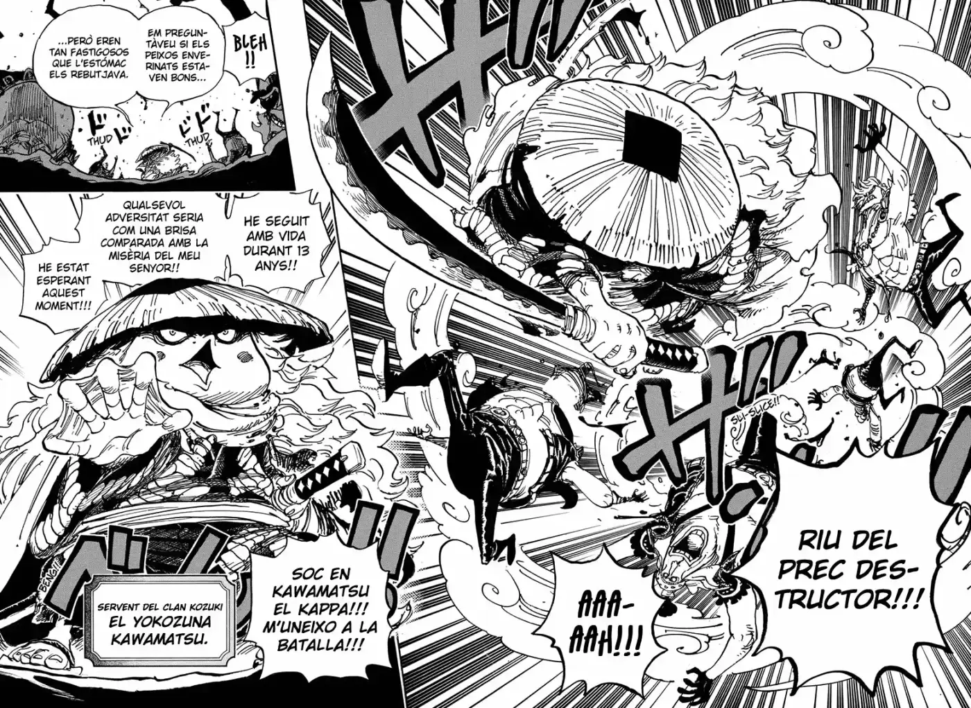 One Piece (Català) - Capítulo 948 - Página 11 - LectorTMOo