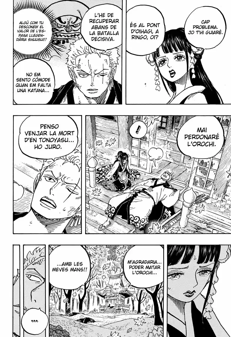 One Piece (Català) - Capítulo 950 - Página 14 - LectorTMOo