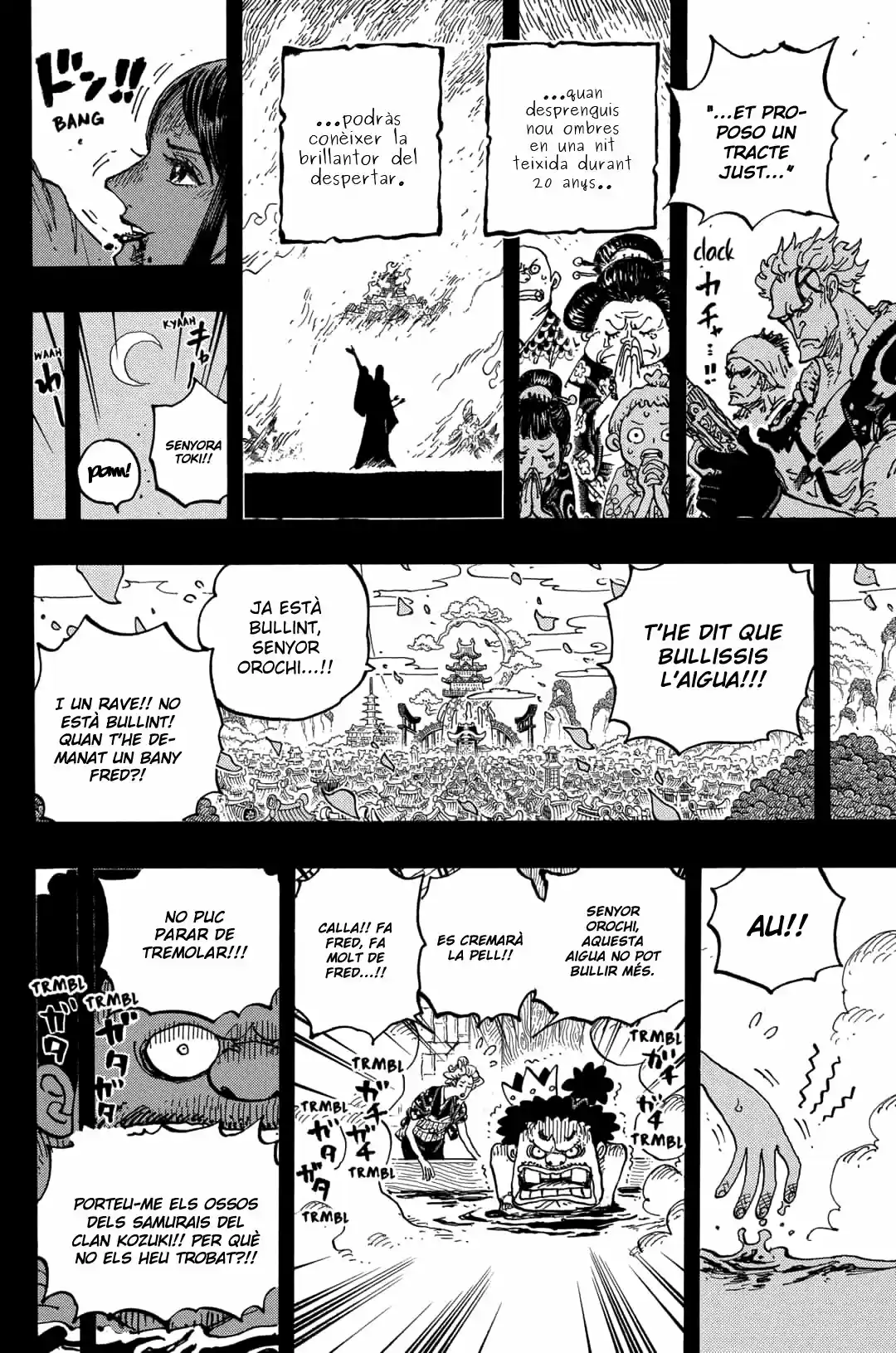 One Piece (Català) - Capítulo 973 - Página 10 - LectorTMOo