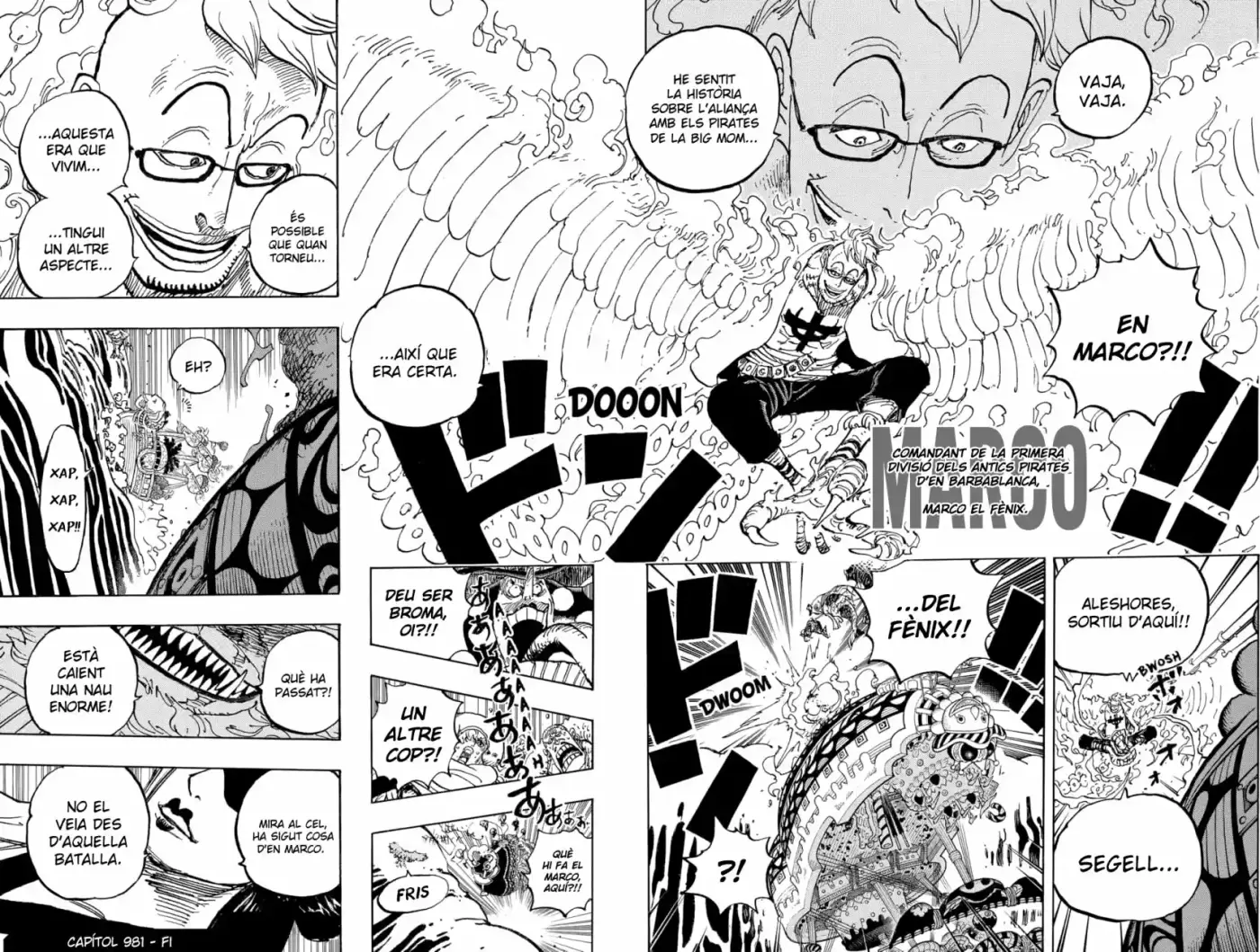 One Piece (Català) - Capítulo 981 - Página 17 - LectorTMOo