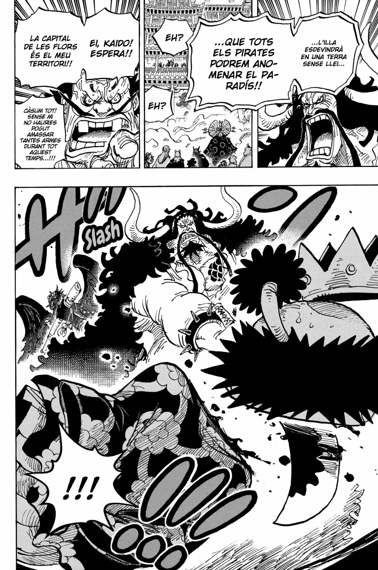 One Piece (Català) - Capítulo 985 - Página 13 - LectorTMOo