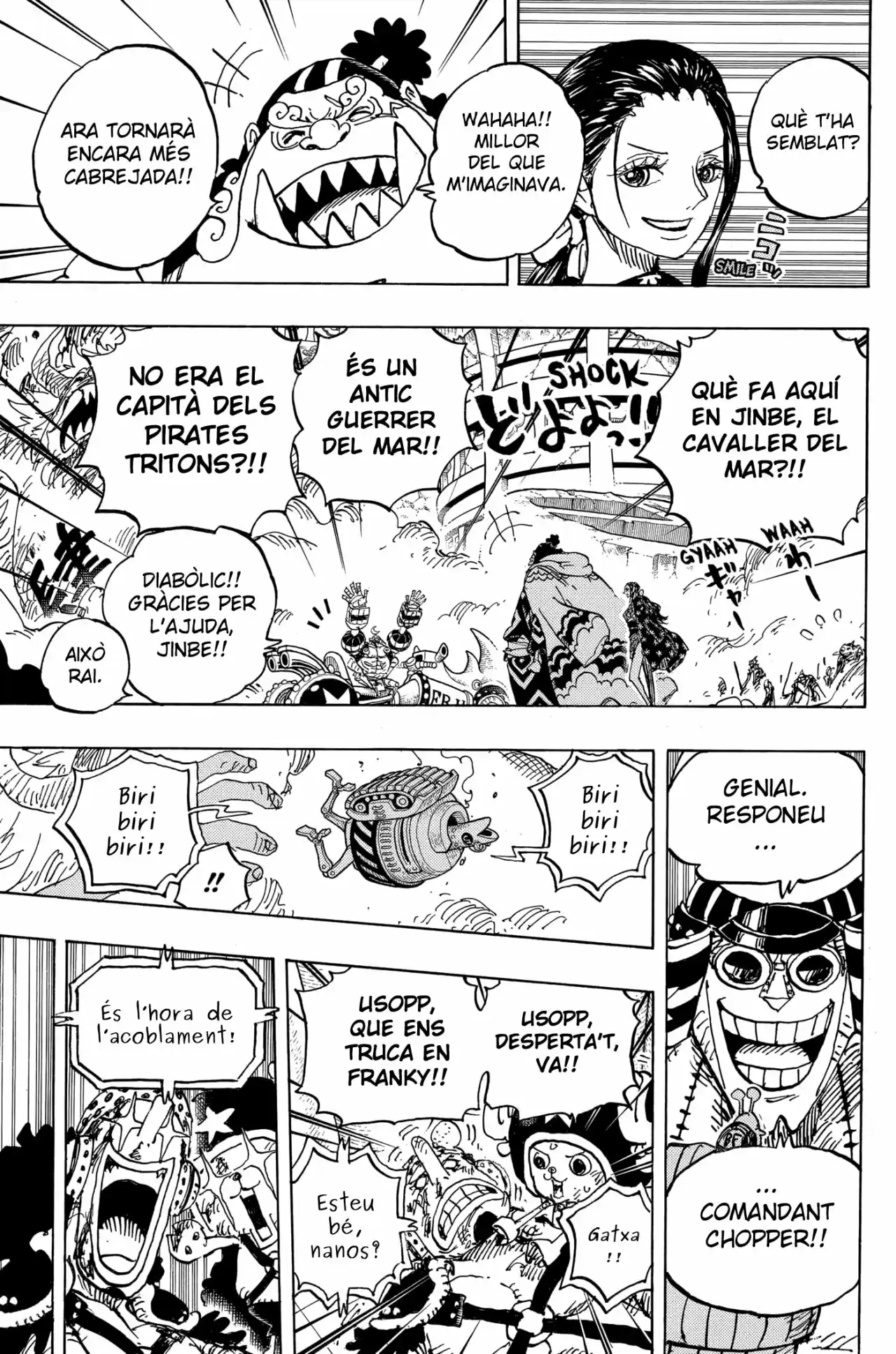 One Piece (Català) - Capítulo 989 - Página 9 - LectorTMOo