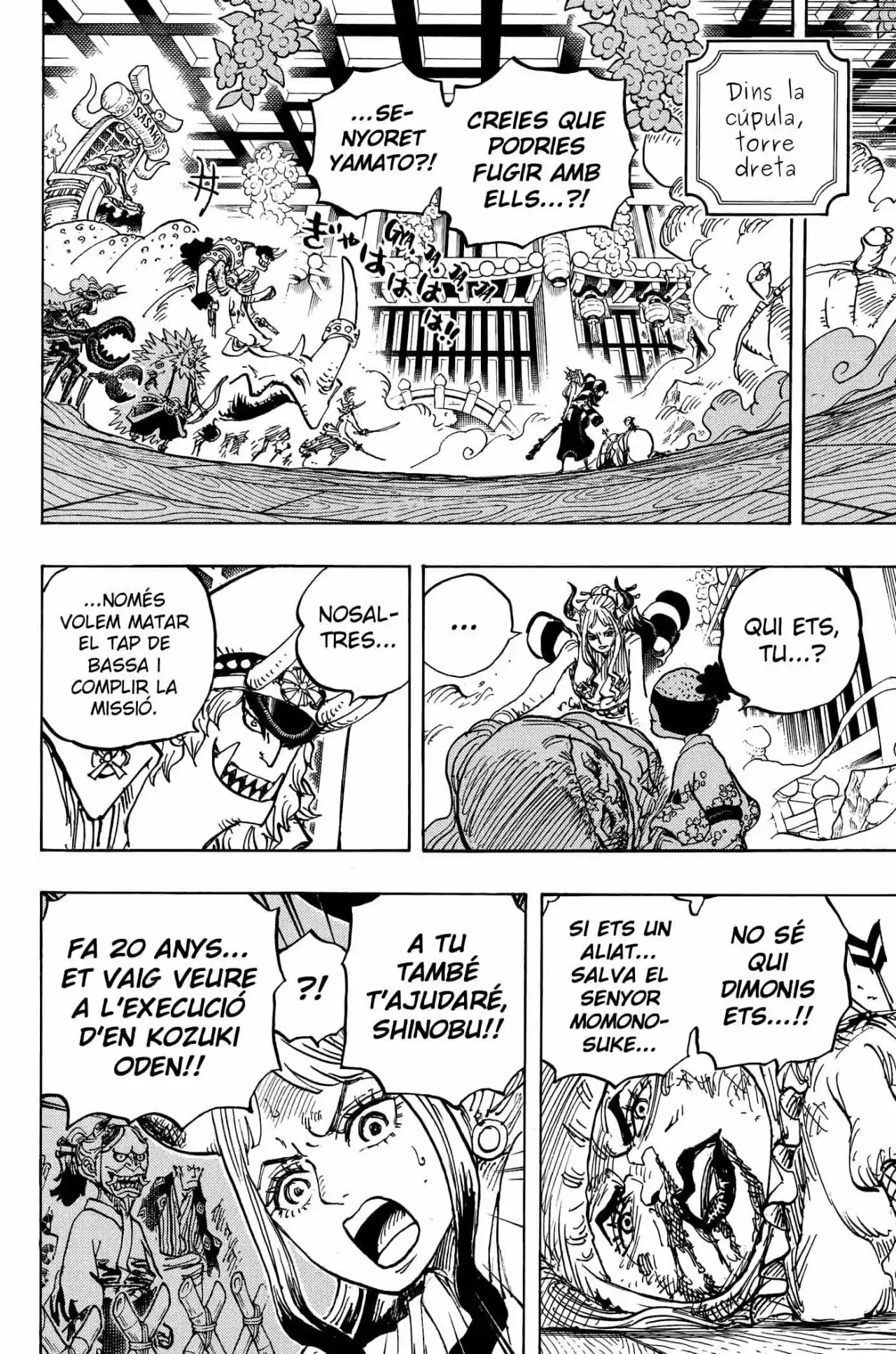 One Piece (Català) - Capítulo 994 - Página 13 - LectorTMOo