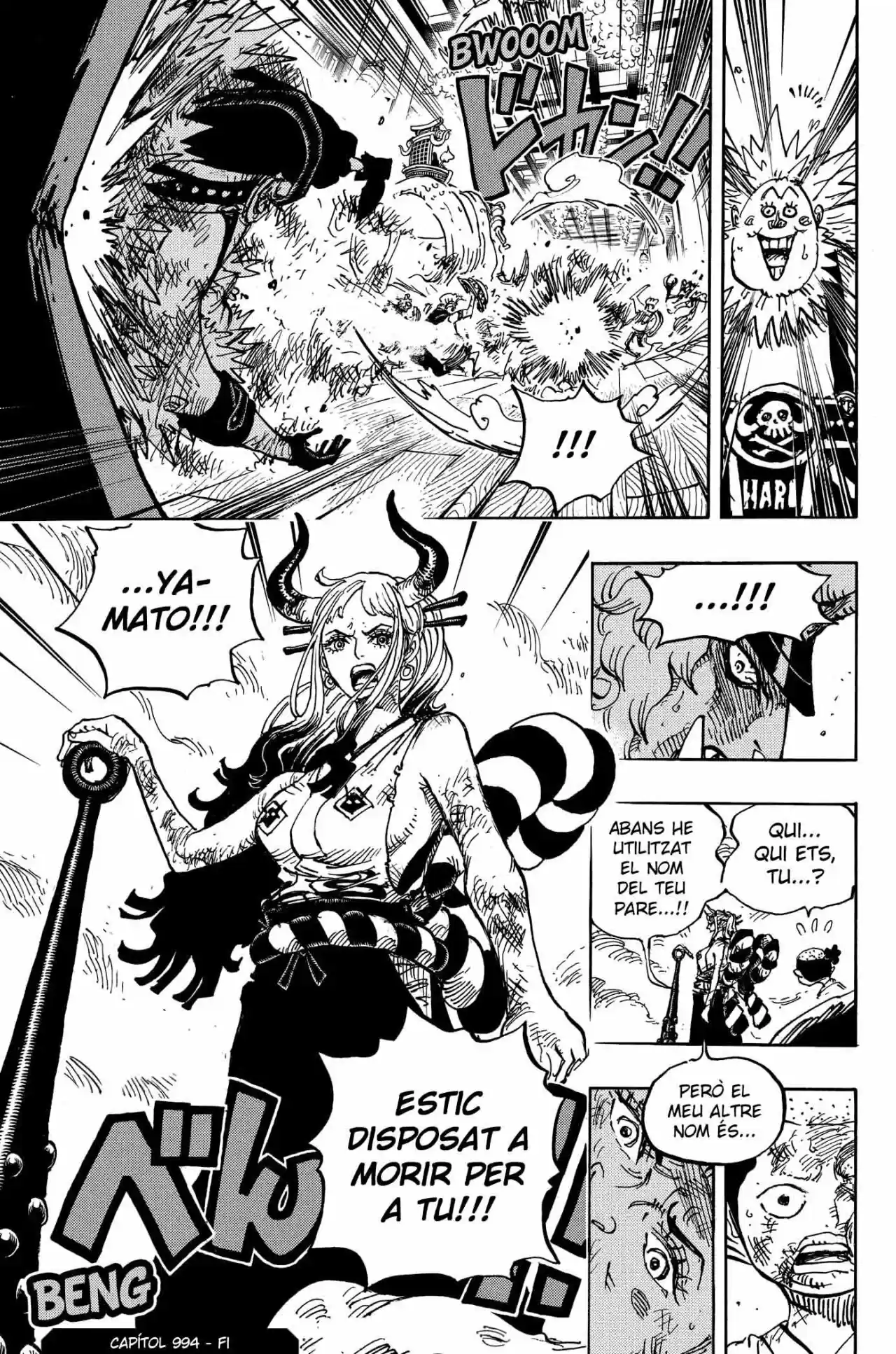 One Piece (Català) - Capítulo 994 - Página 16 - LectorTMOo