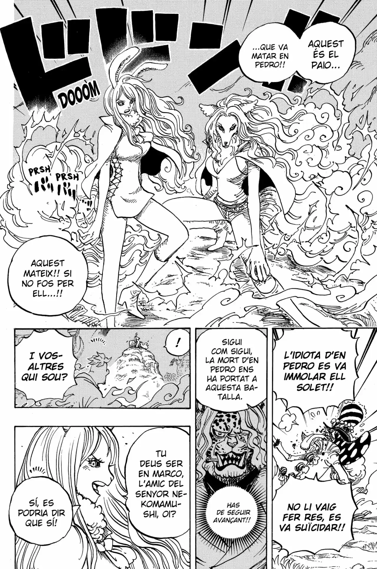 One Piece (Català) - Capítulo 995 - Página 5 - LectorTMOo