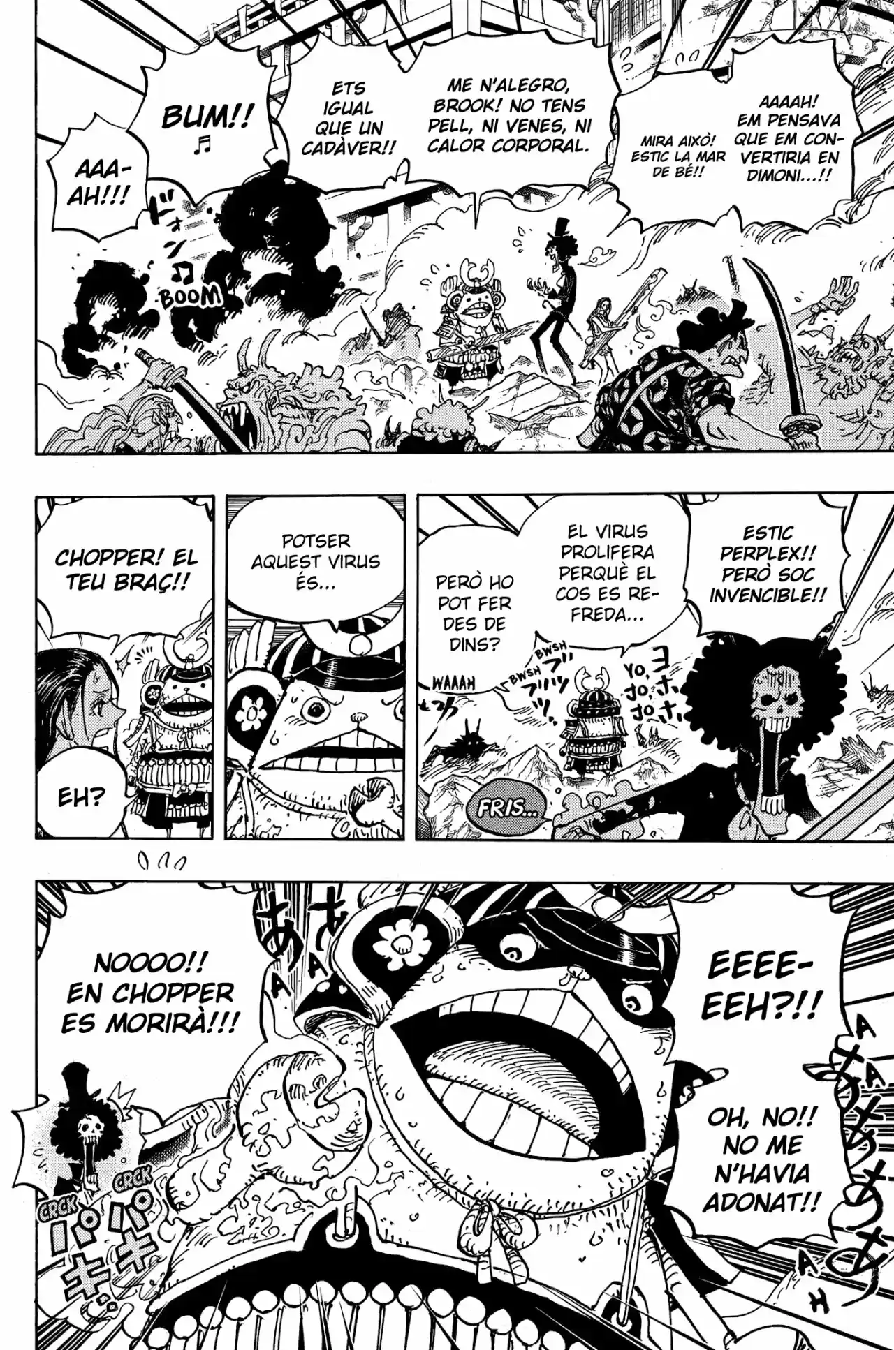 One Piece (Català) - Capítulo 995 - Página 11 - LectorTMOo