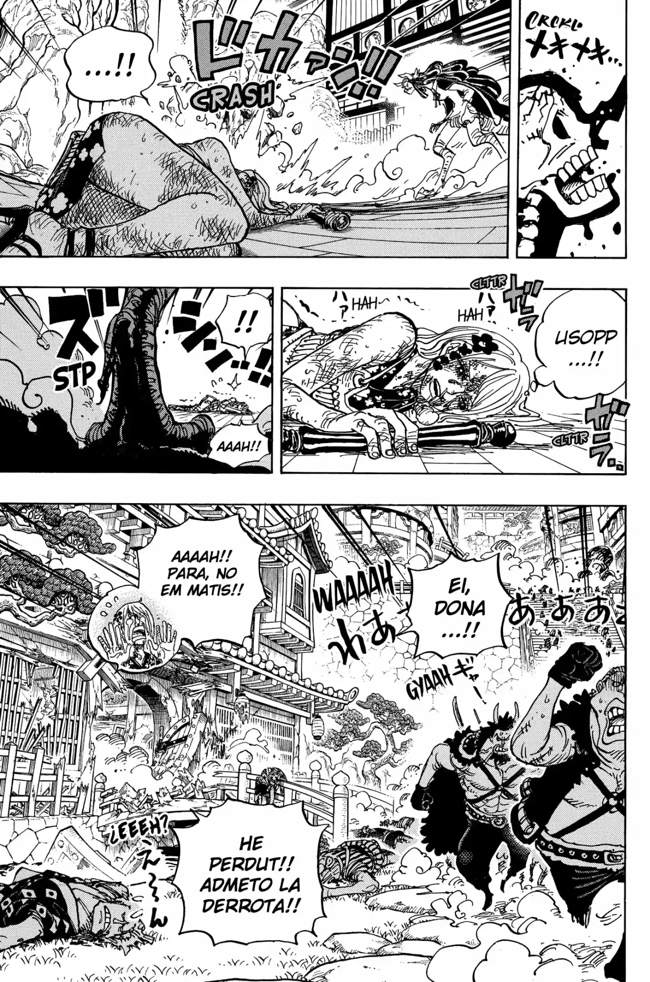 One Piece (Català) - Capítulo 995 - Página 14 - LectorTMOo