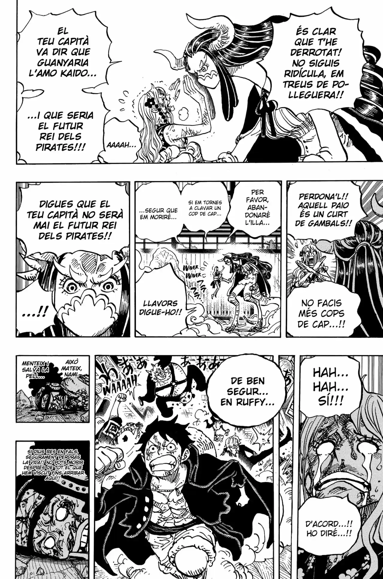 One Piece (Català) - Capítulo 995 - Página 15 - LectorTMOo