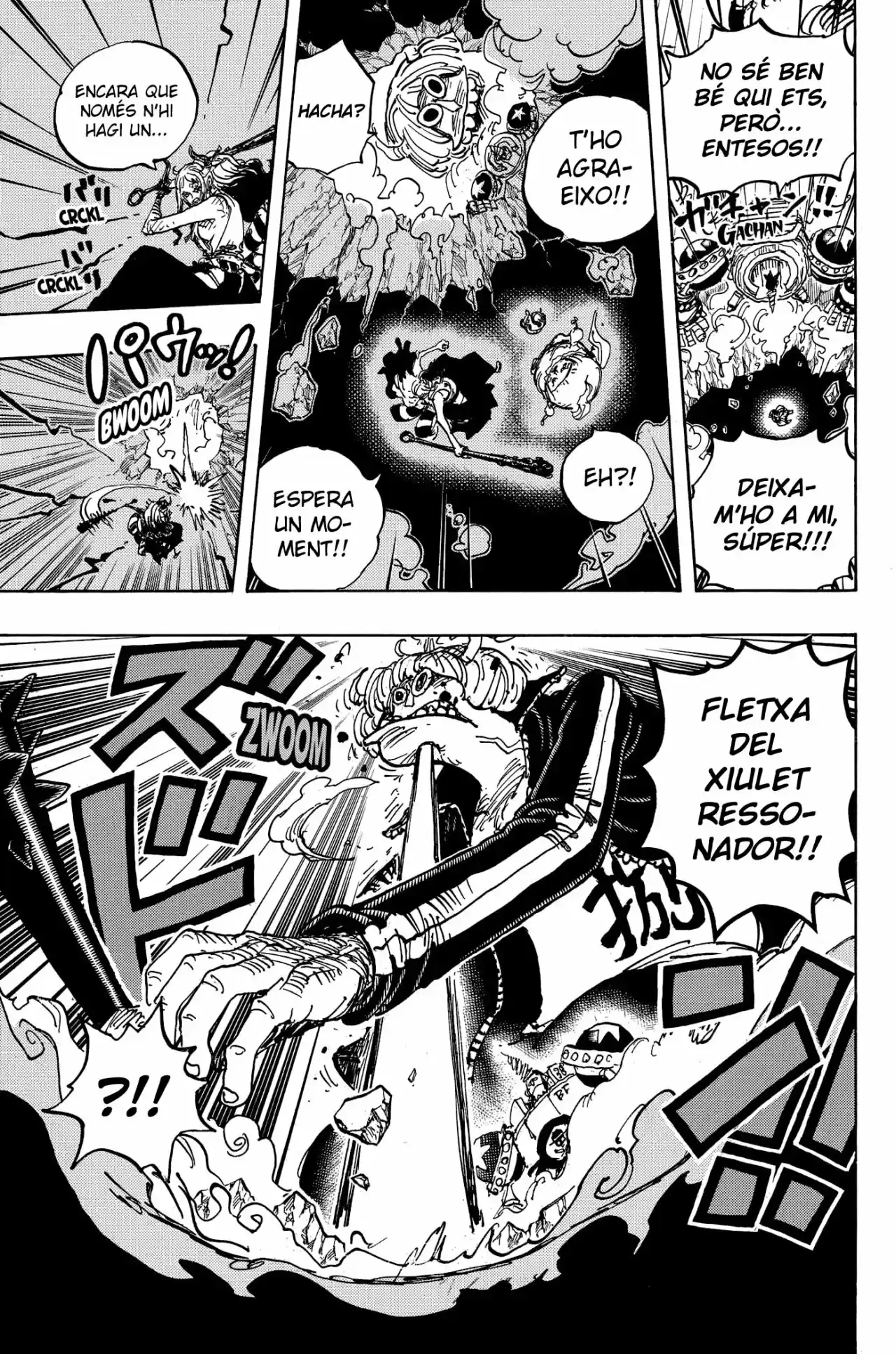 One Piece (Català) - Capítulo 996 - Página 9 - LectorTMOo