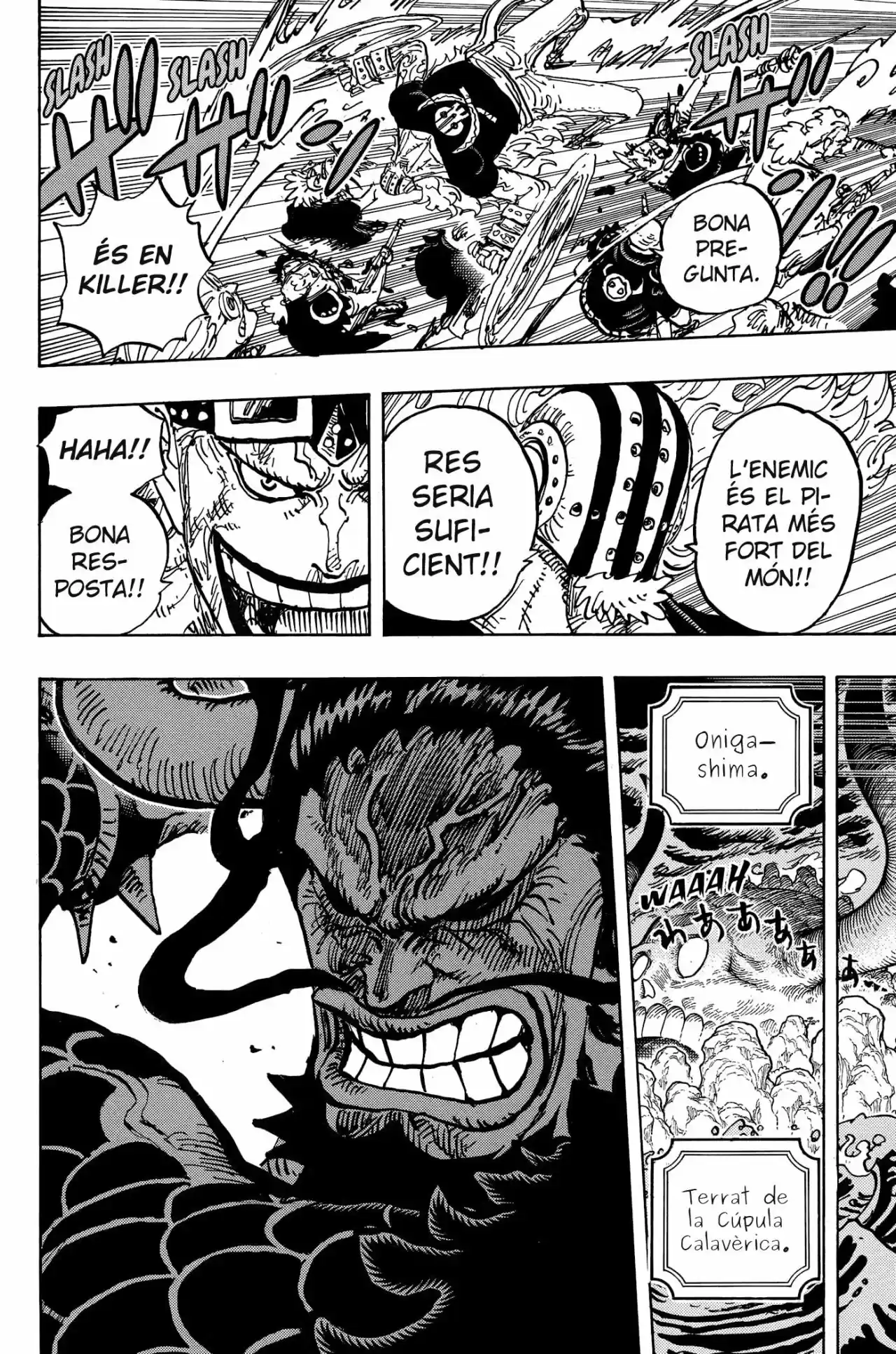 One Piece (Català) - Capítulo 996 - Página 14 - LectorTMOo