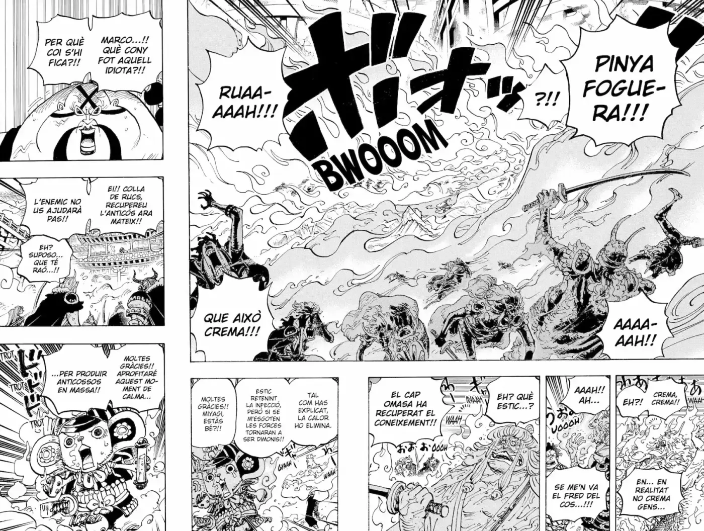 One Piece (Català) - Capítulo 998 - Página 4 - LectorTMOo