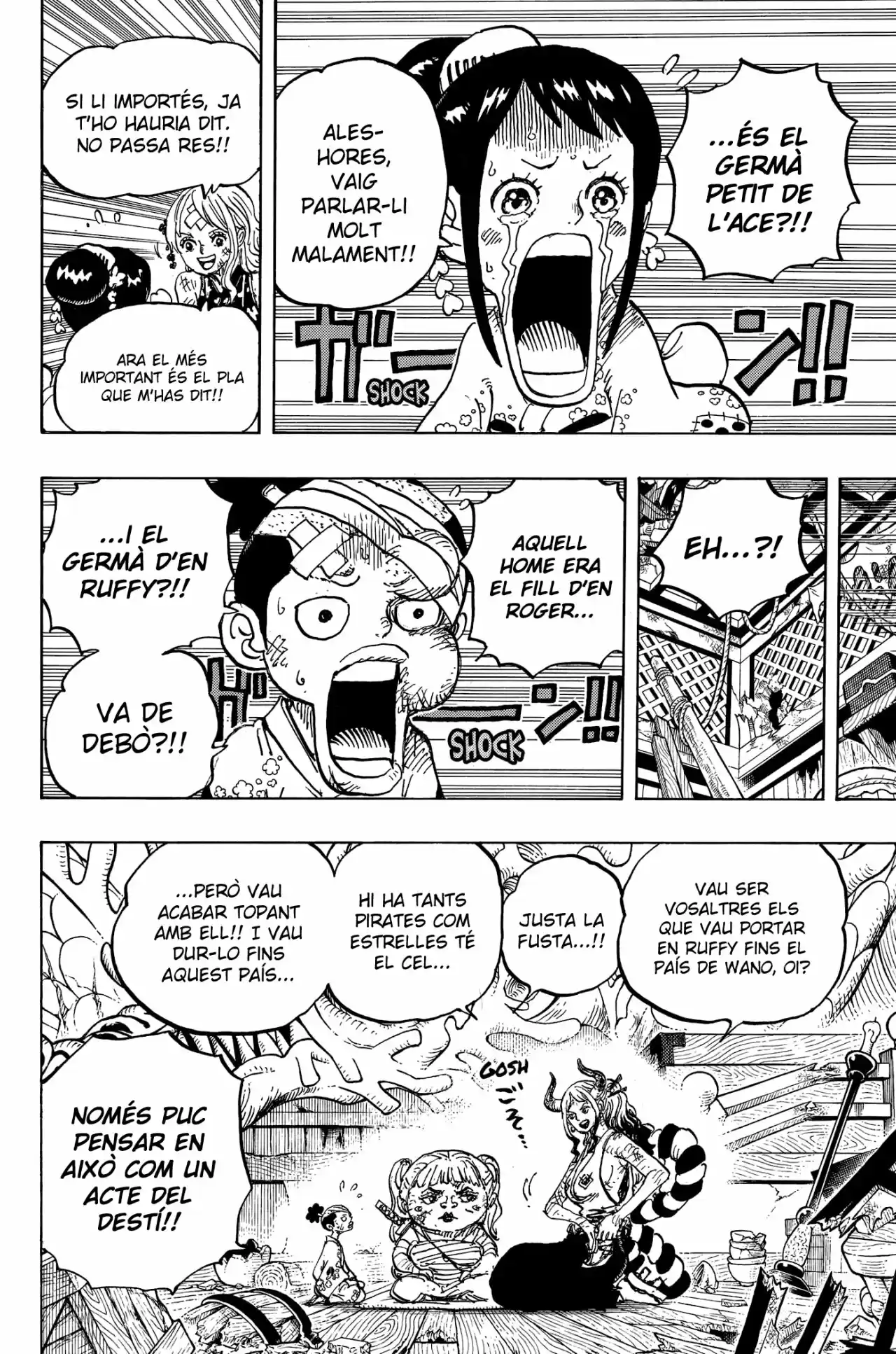 One Piece (Català) - Capítulo 999 - Página 14 - LectorTMOo