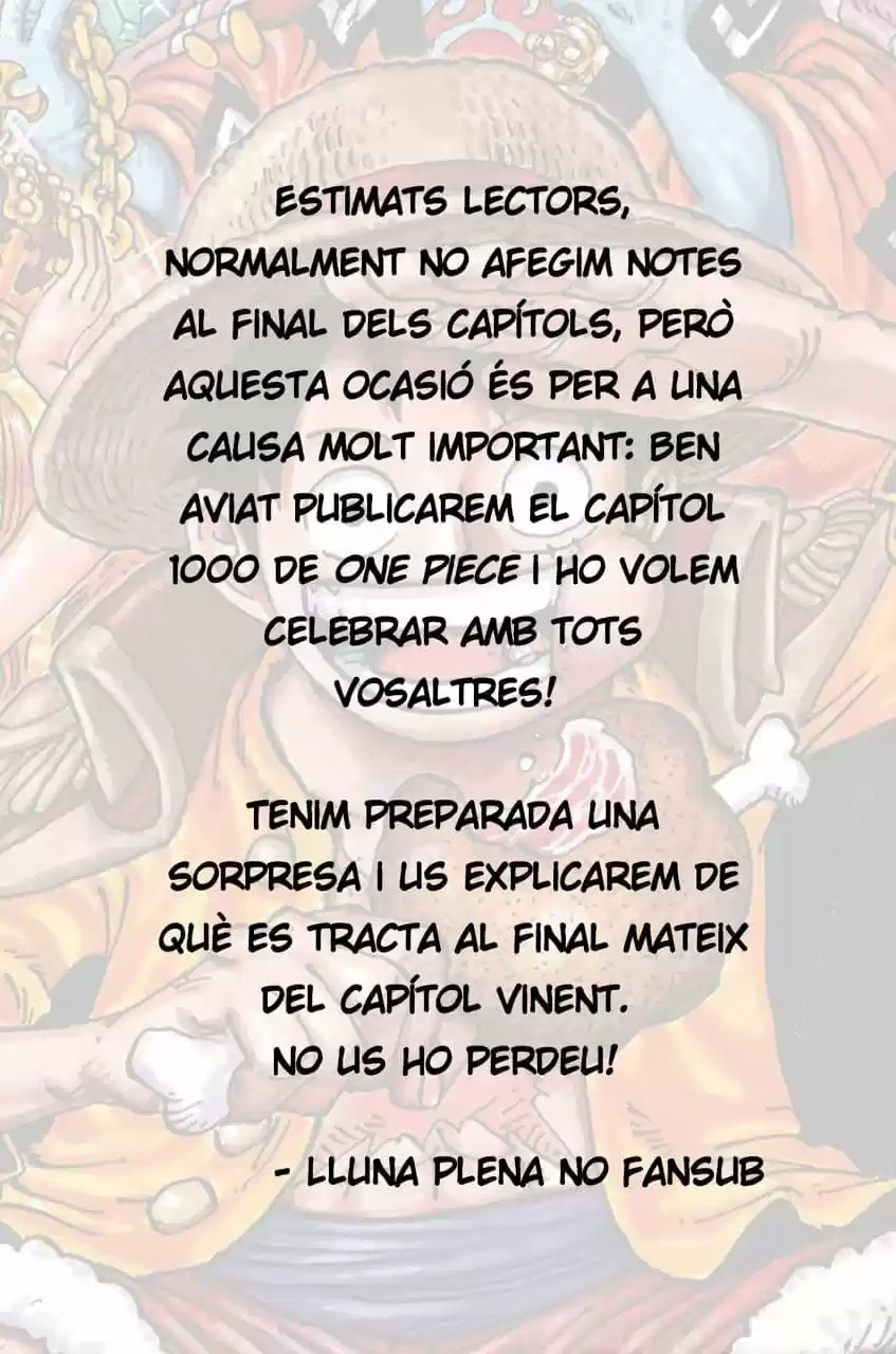 One Piece (Català) - Capítulo 999 - Página 17 - LectorTMOo