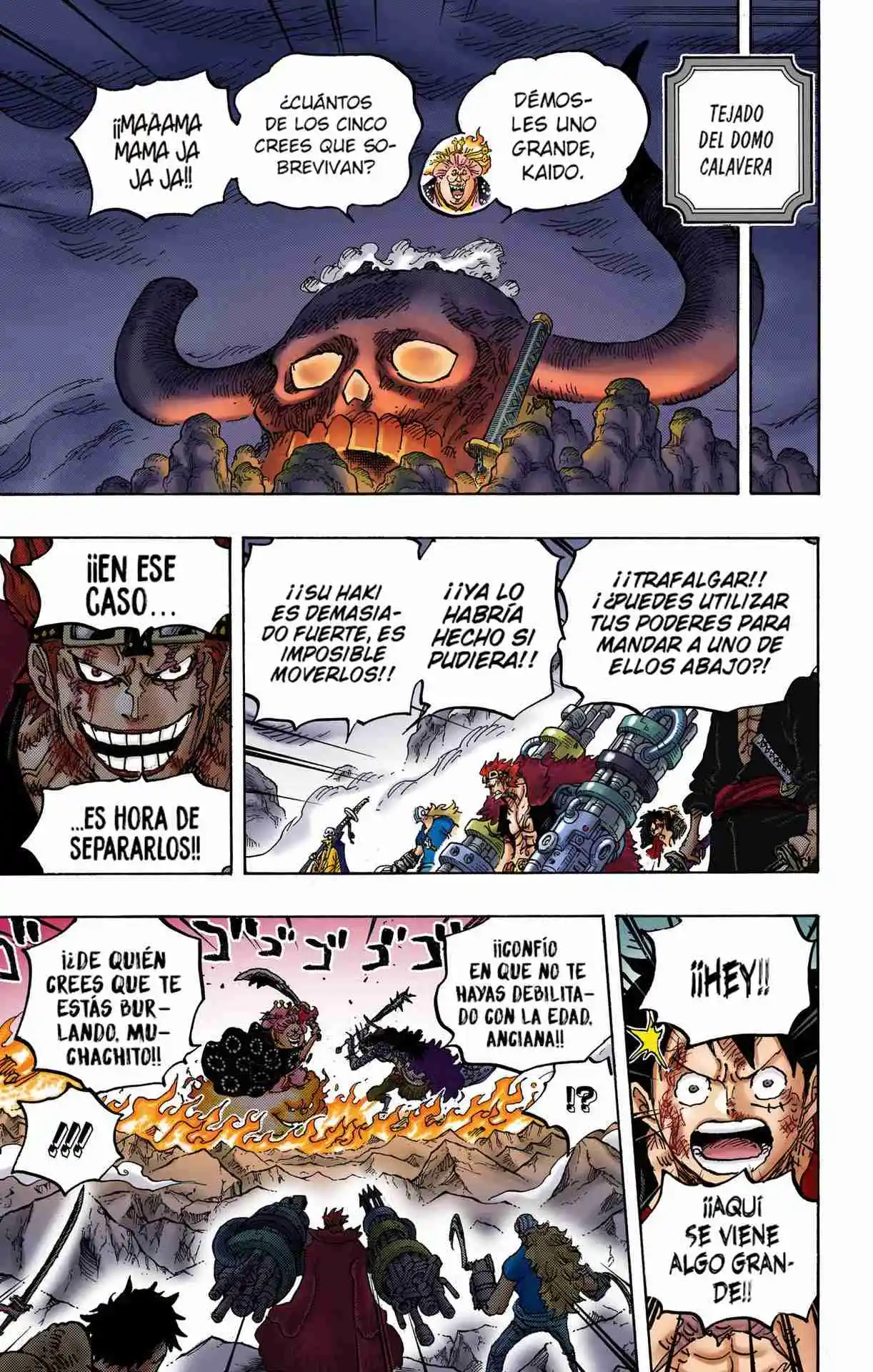 One Piece (full Color) - Capítulo 1009 - Página 5 - LectorTMOo