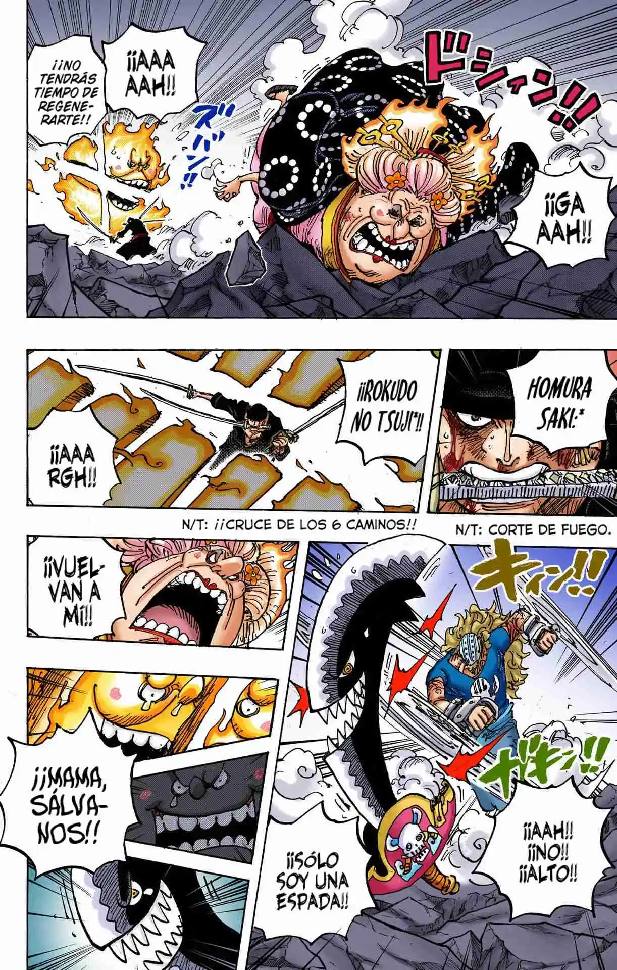 One Piece (full Color) - Capítulo 1009 - Página 13 - LectorTMOo