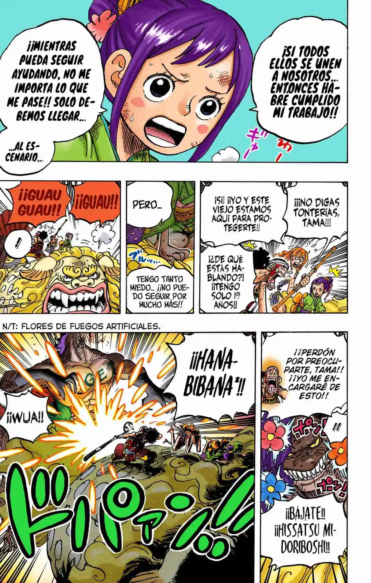 One Piece (full Color) - Capítulo 1011 - Página 12 - LectorTMOo