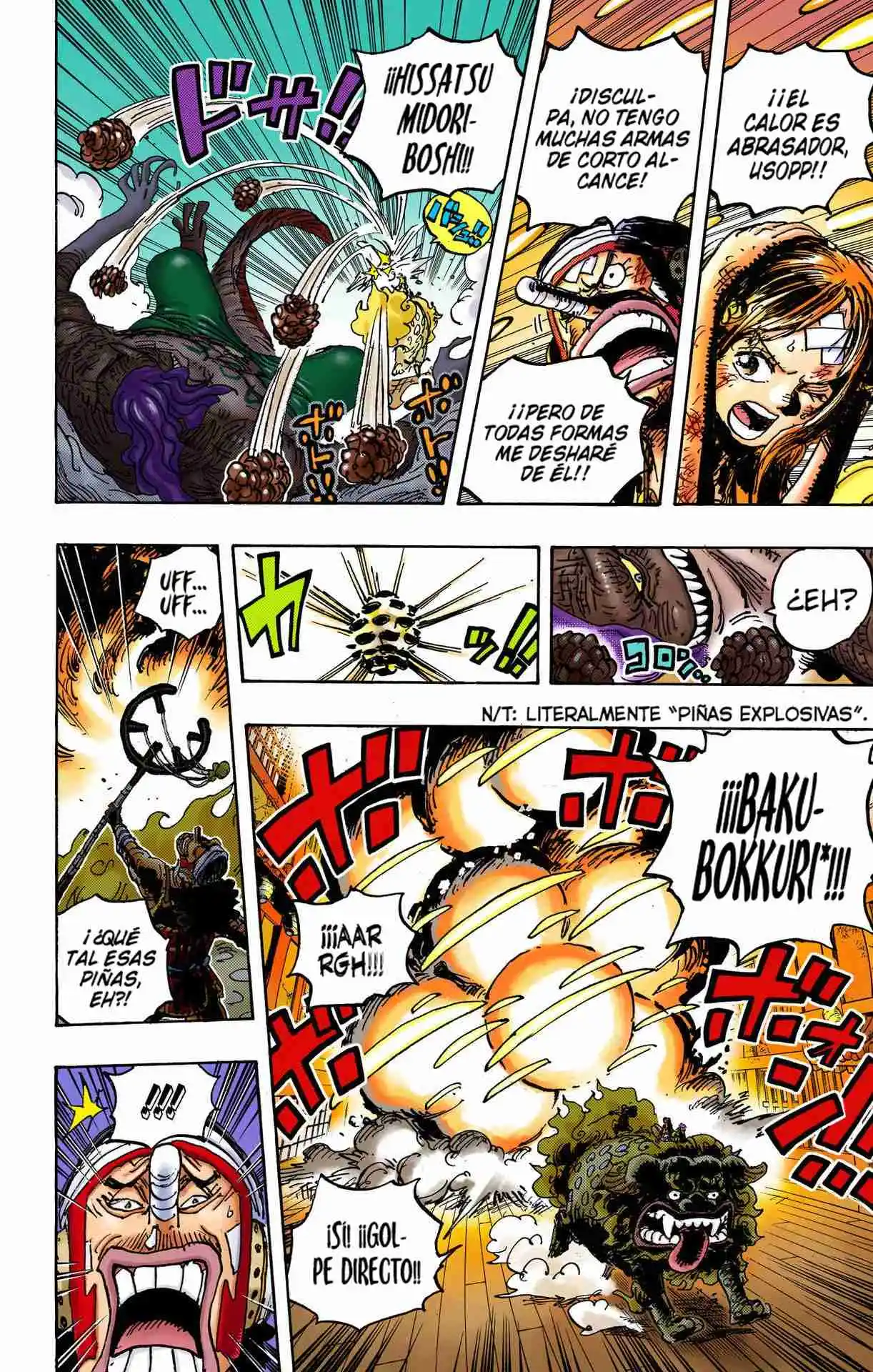 One Piece (full Color) - Capítulo 1011 - Página 13 - LectorTMOo
