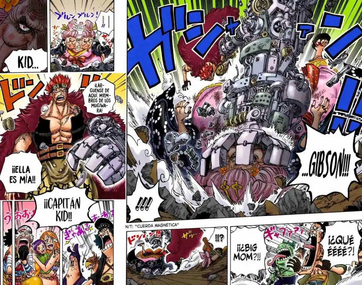One Piece (full Color) - Capítulo 1013 - Página 13 - LectorTMOo