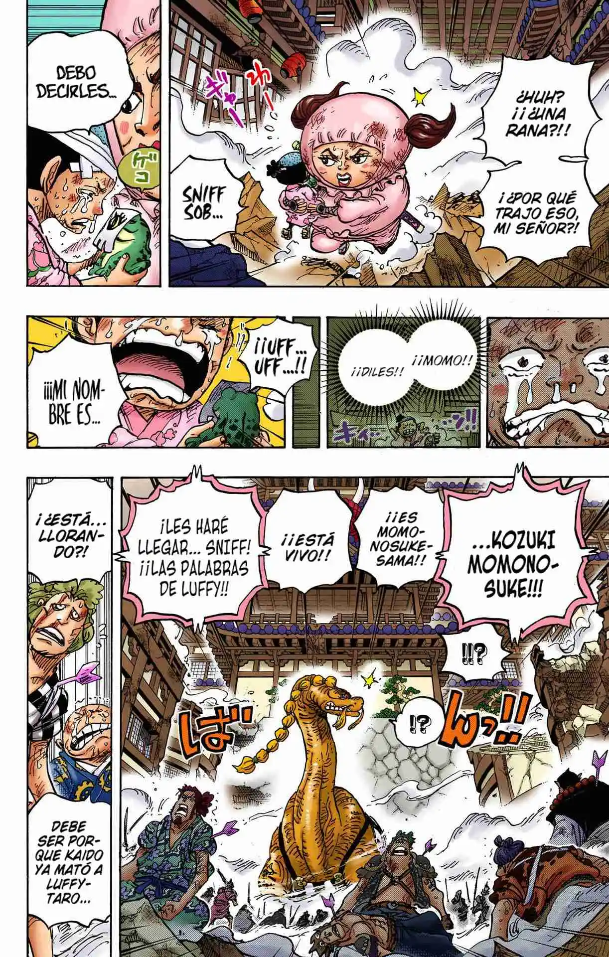 One Piece (full Color) - Capítulo 1015 - Página 11 - LectorTMOo