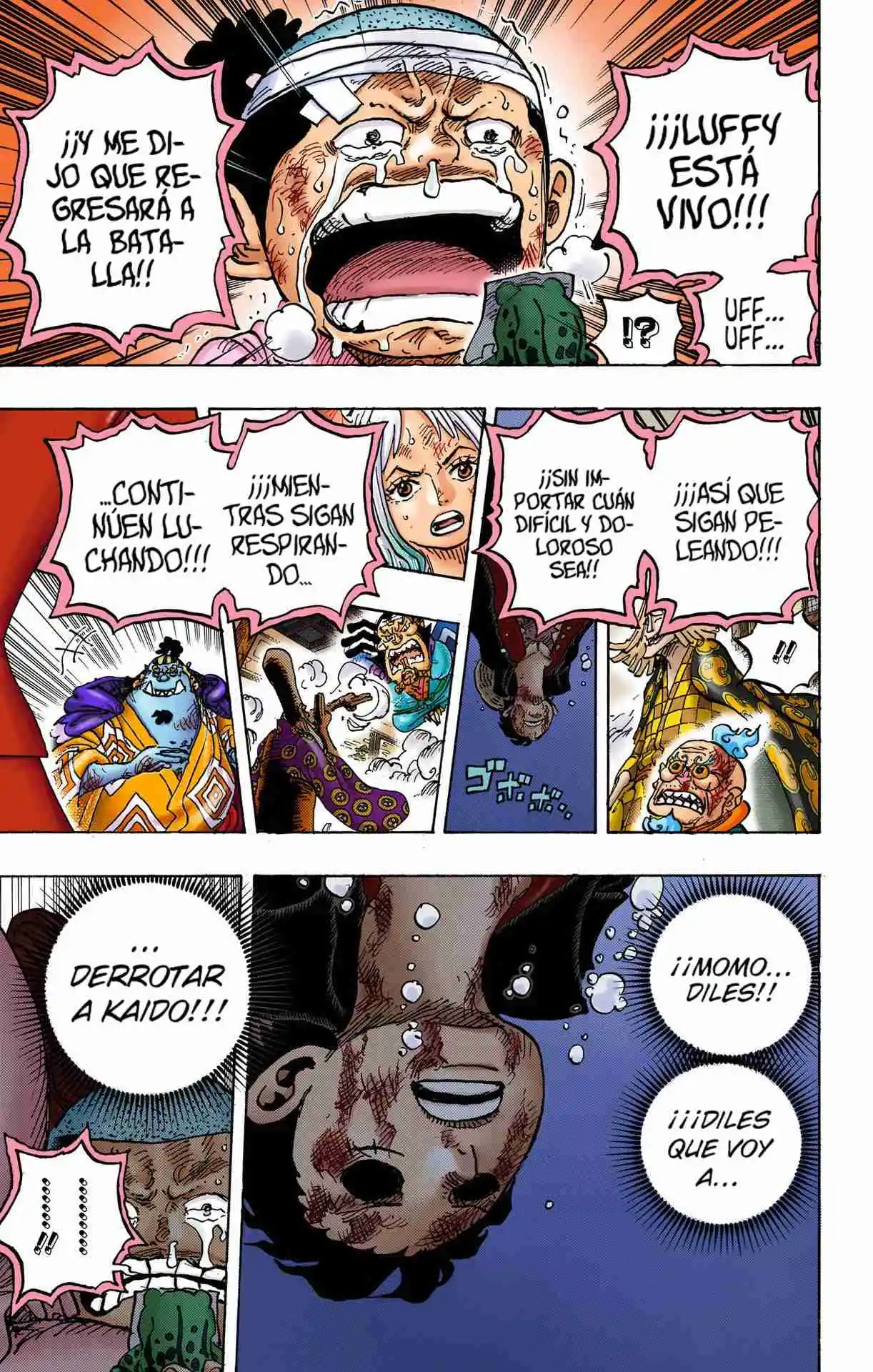 One Piece (full Color) - Capítulo 1015 - Página 12 - LectorTMOo