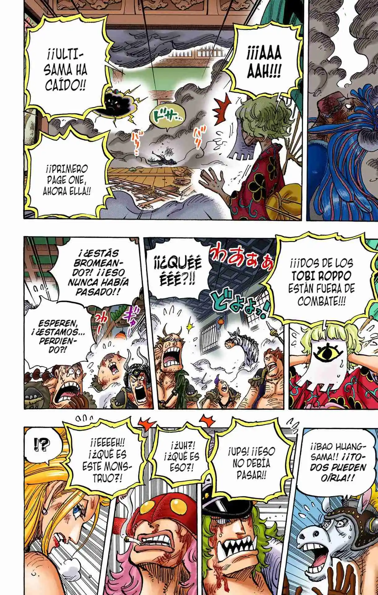 One Piece (full Color) - Capítulo 1016 - Página 13 - LectorTMOo