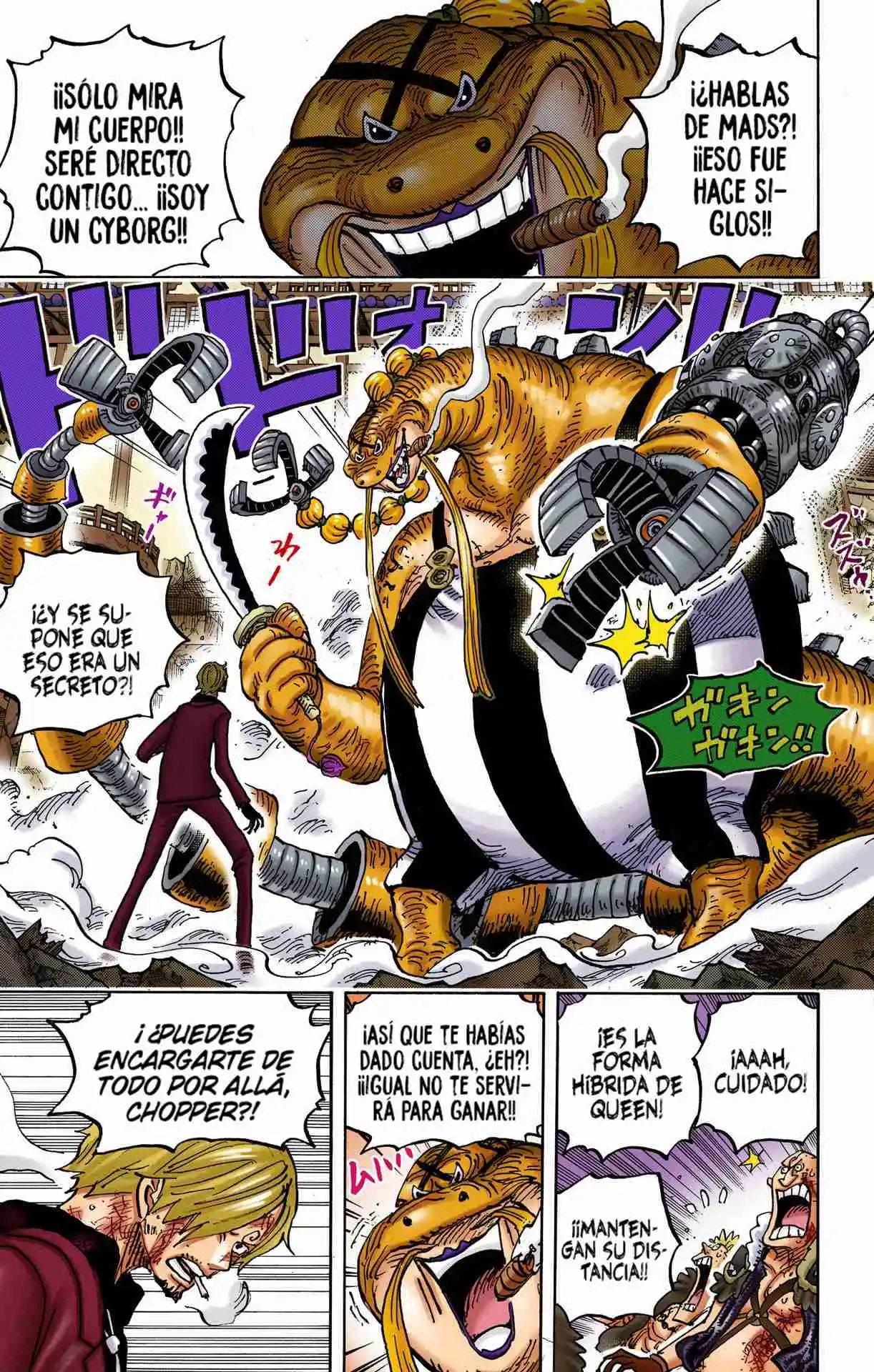 One Piece (full Color) - Capítulo 1017 - Página 11 - LectorTMOo