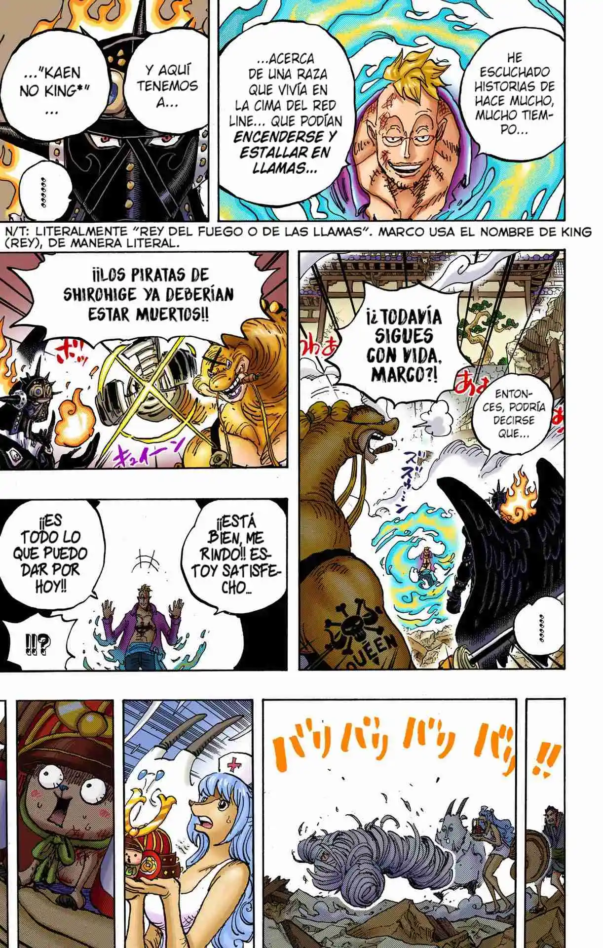 One Piece (full Color) - Capítulo 1022 - Página 14 - LectorTMOo