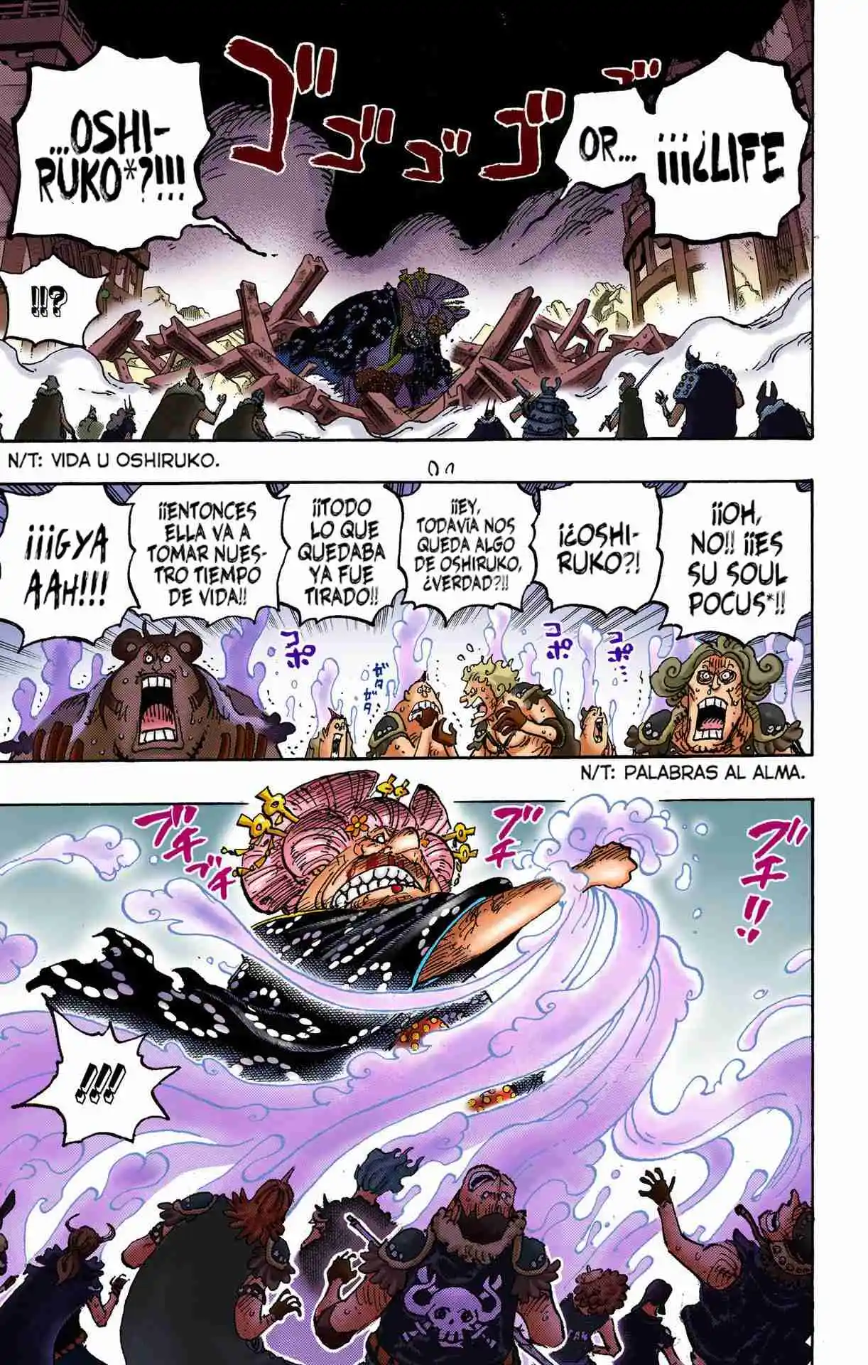 One Piece (full Color) - Capítulo 1031 - Página 5 - LectorTMOo