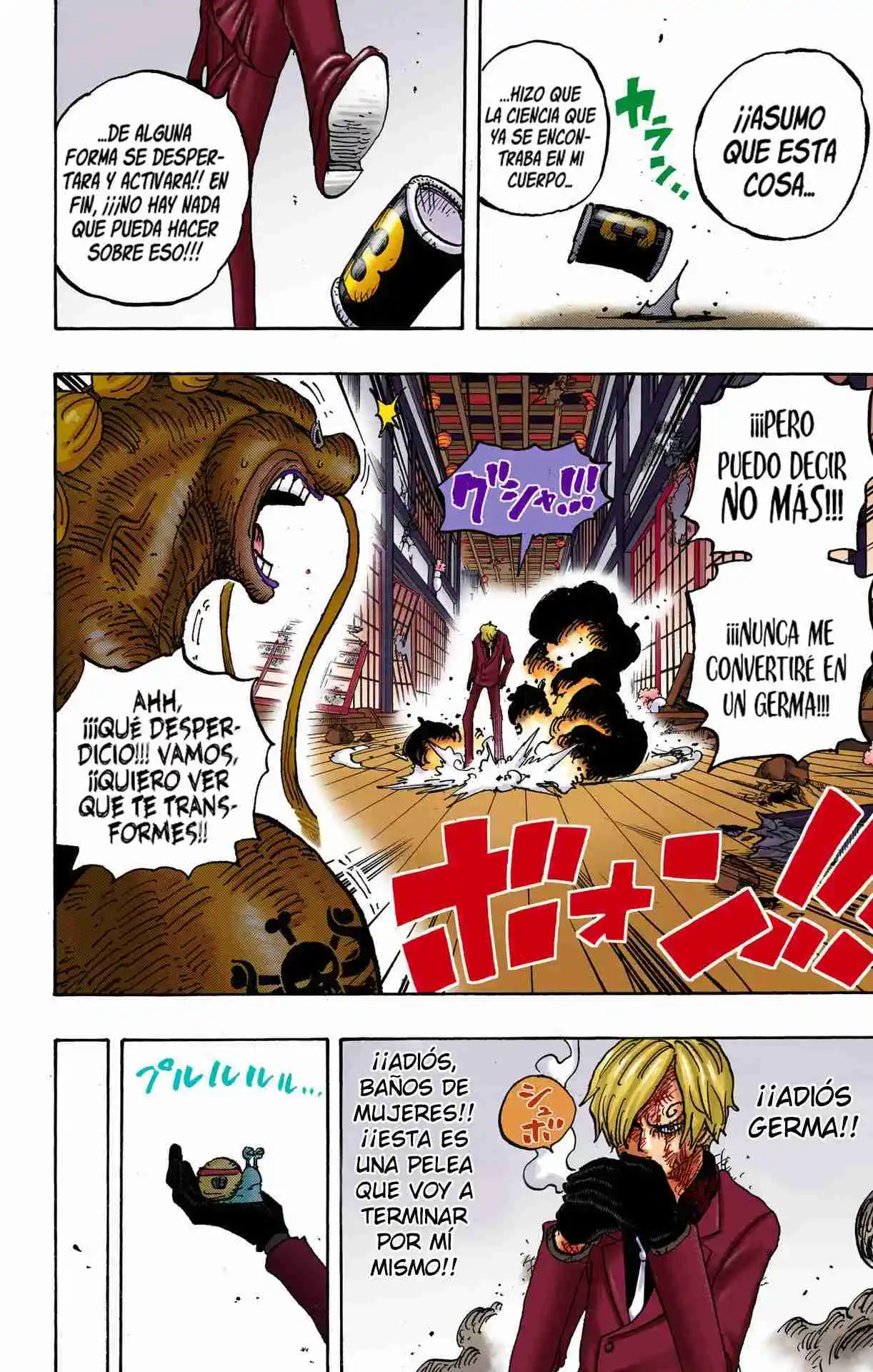 One Piece (full Color) - Capítulo 1031 - Página 15 - LectorTMOo