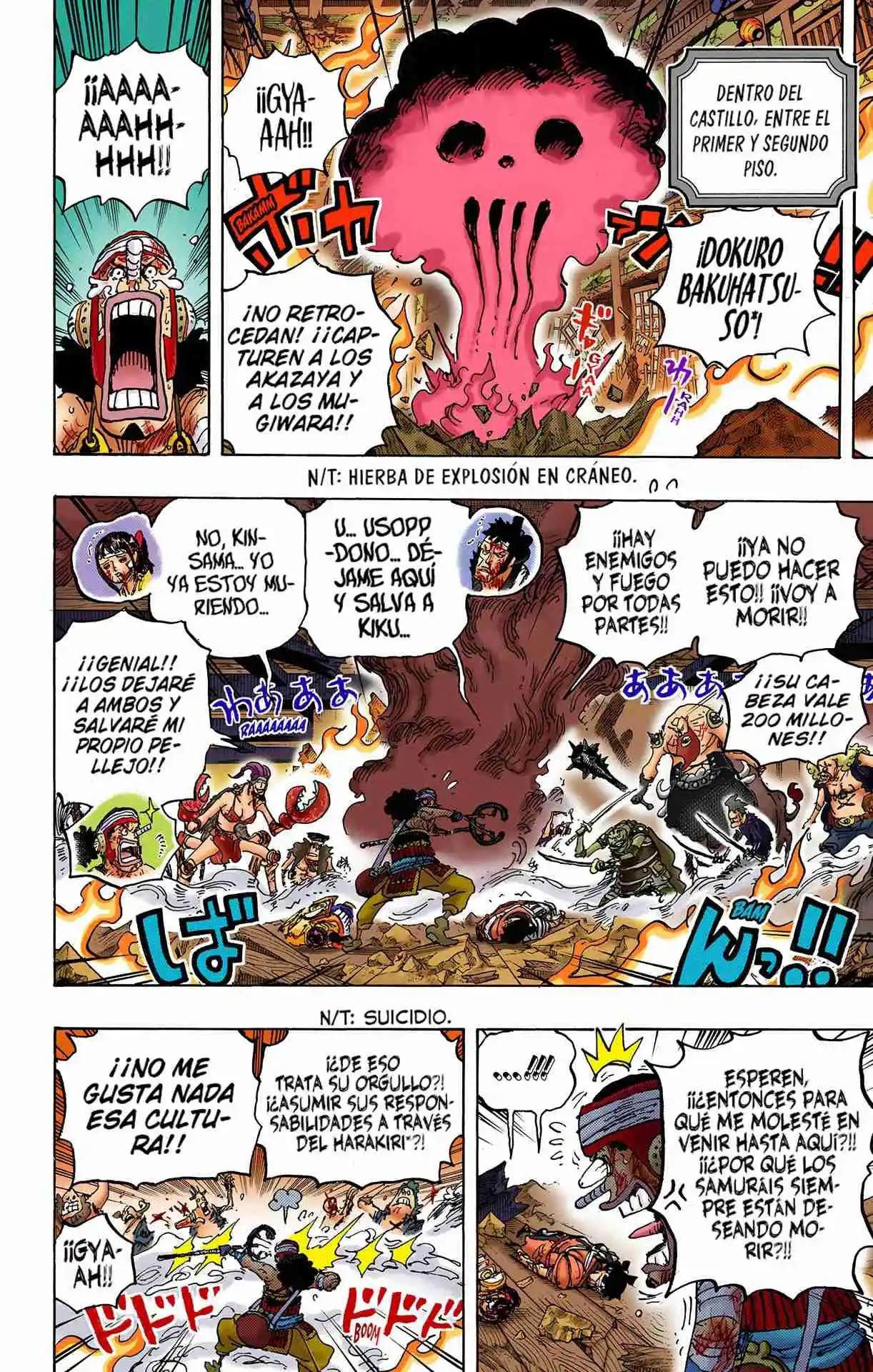 One Piece (full Color) - Capítulo 1036 - Página 11 - LectorTMOo