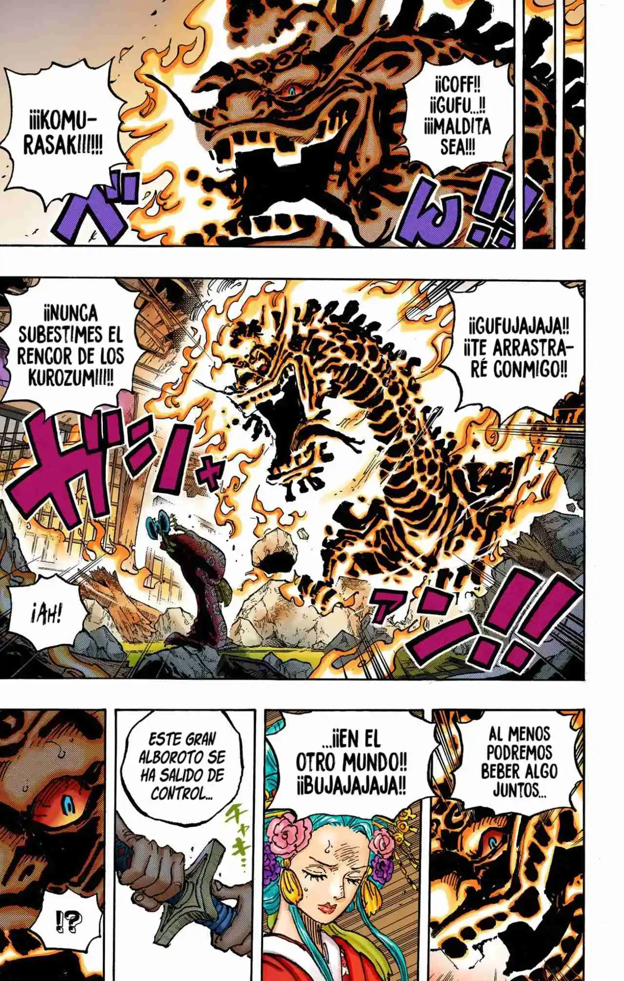 One Piece (full Color) - Capítulo 1048 - Página 13 - LectorTMOo