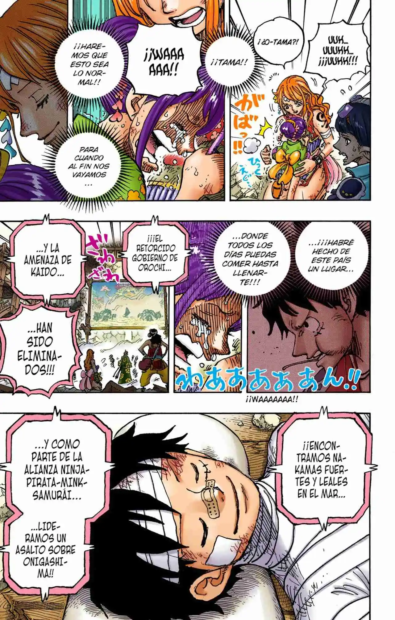 One Piece (full Color) - Capítulo 1051 - Página 11 - LectorTMOo