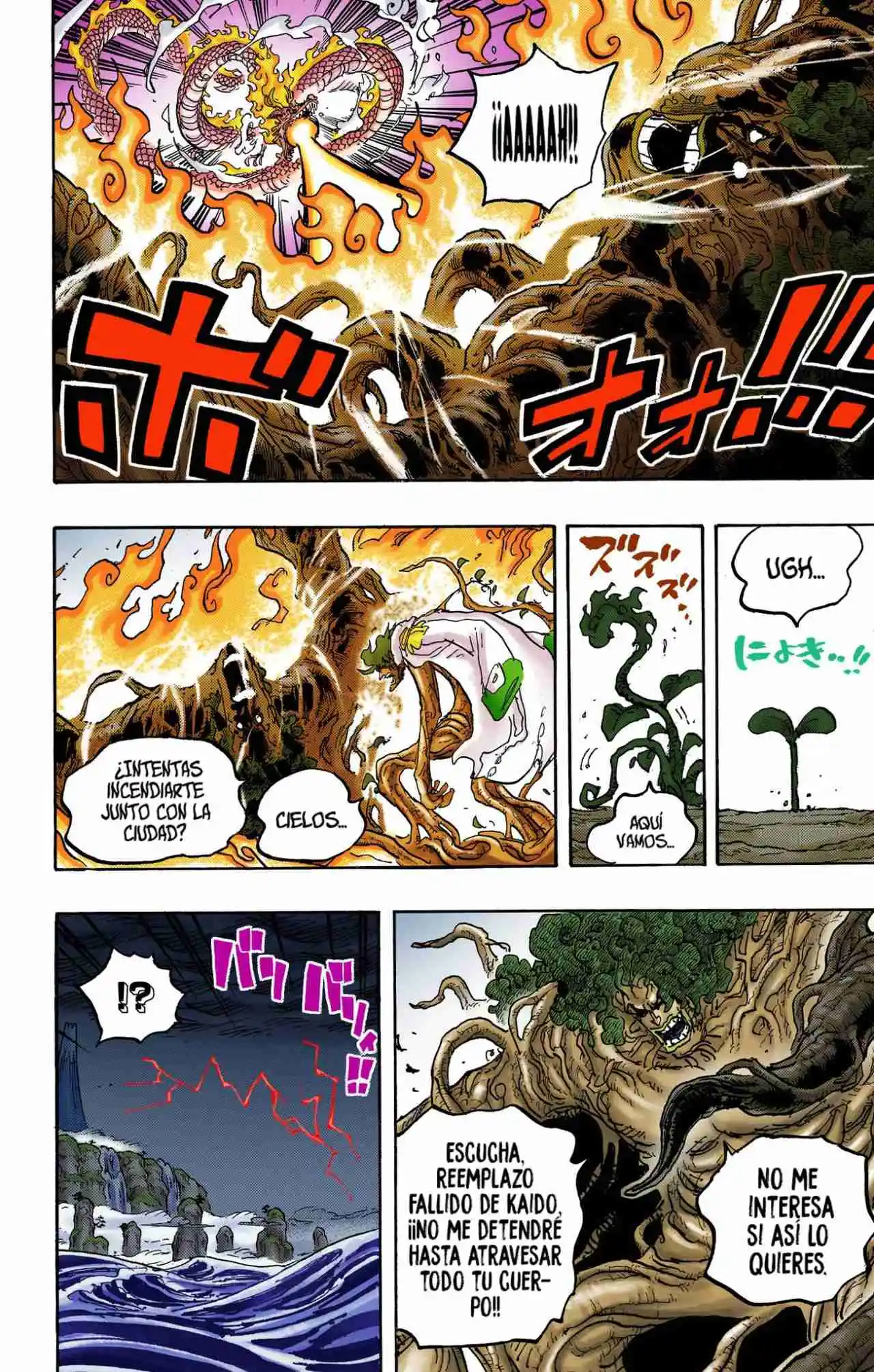 One Piece (full Color) - Capítulo 1055 - Página 13 - LectorTMOo